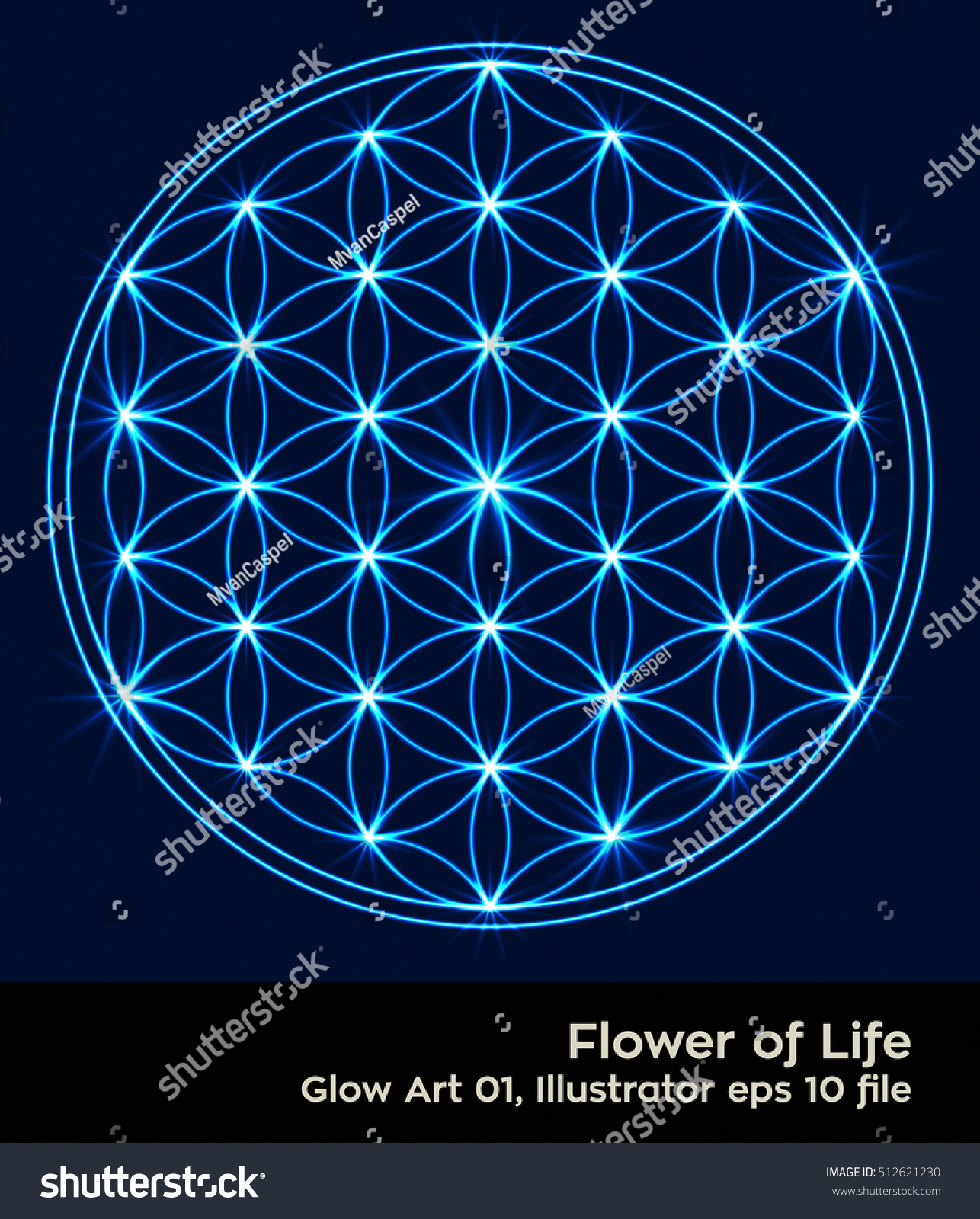 Flower Life Intersecting Circles Forming Flower Stock Vector Royalty Flower Life Intersecting Circles Forming Flower Stock Vector Royalty