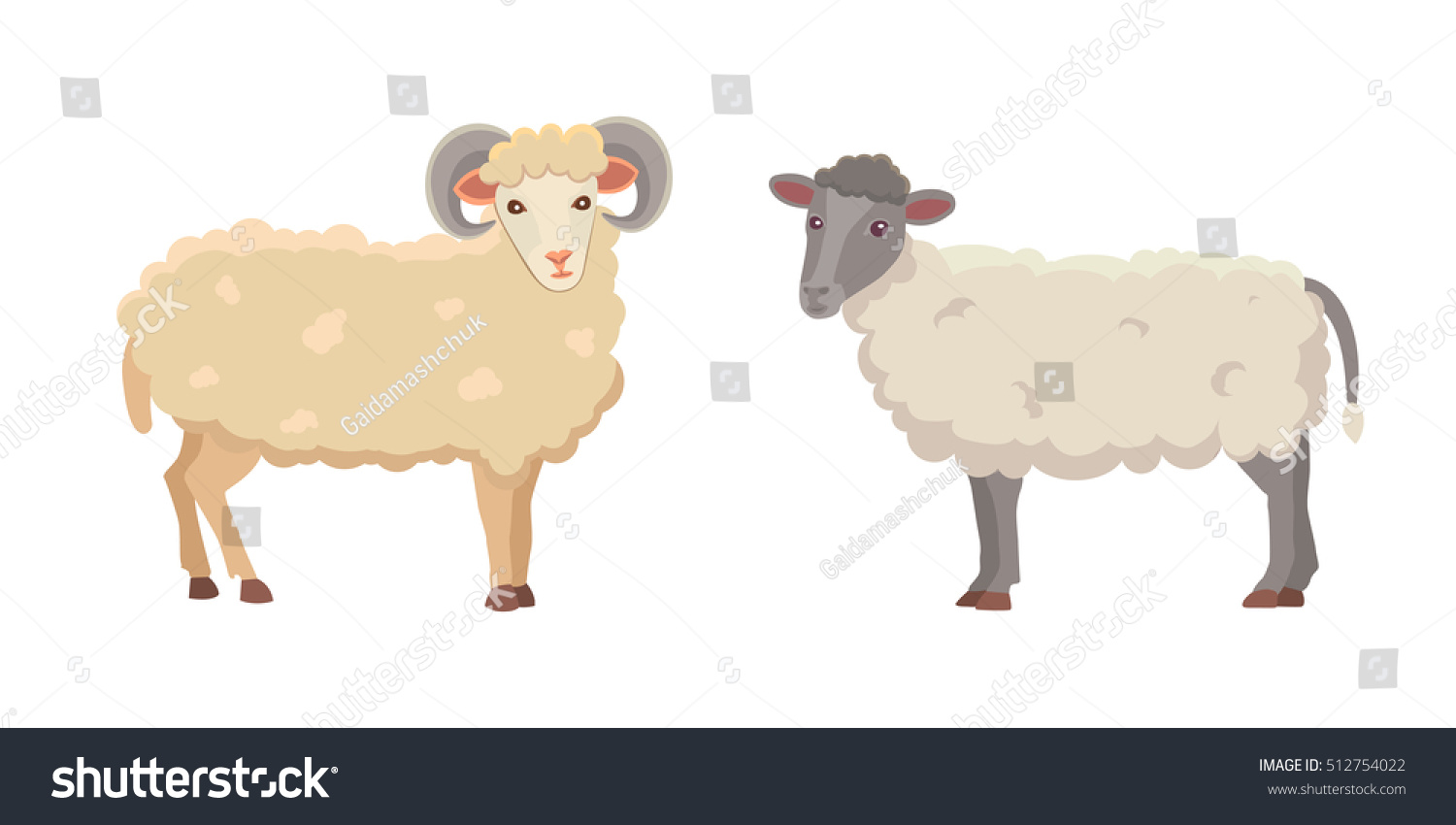 Vector Set Cute Sheep Ram Isolated Stock Vector (Royalty Free ...