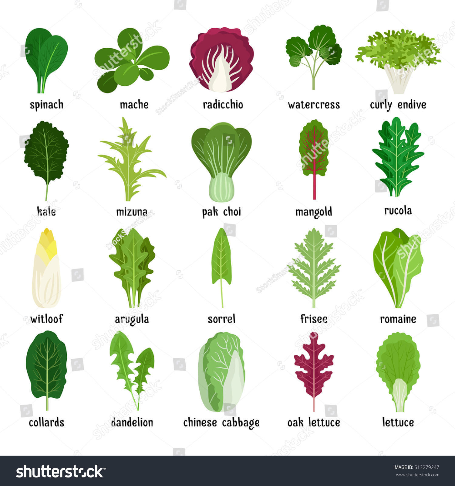 2,414 Leafy green logo Images, Stock Photos & Vectors | Shutterstock