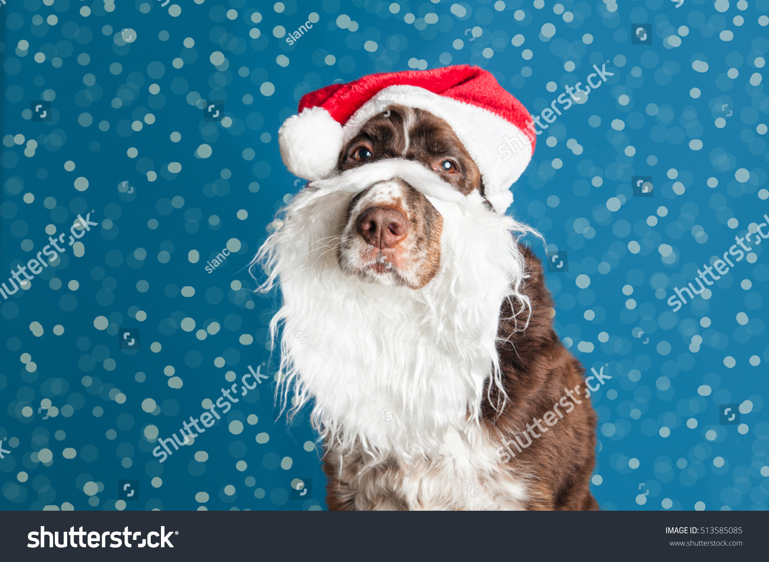 santa hat and beard for dog