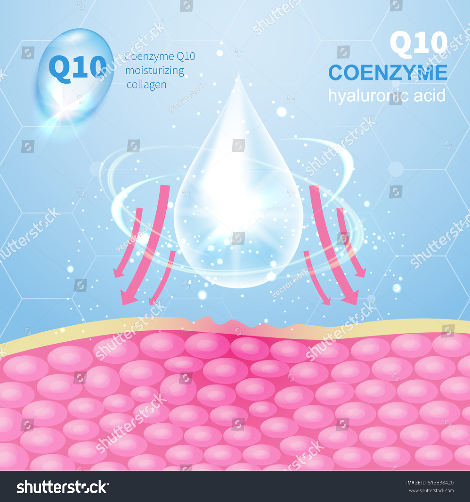 Hyaluronic Acid Skin Vector Illustration Infographics Stock Vector ...