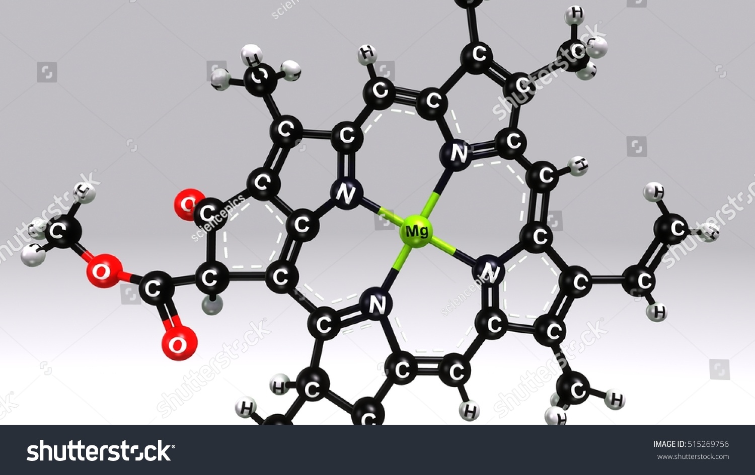 Chlorophyll B Structure 3d Illustration Stock Illustration 515269756 ...