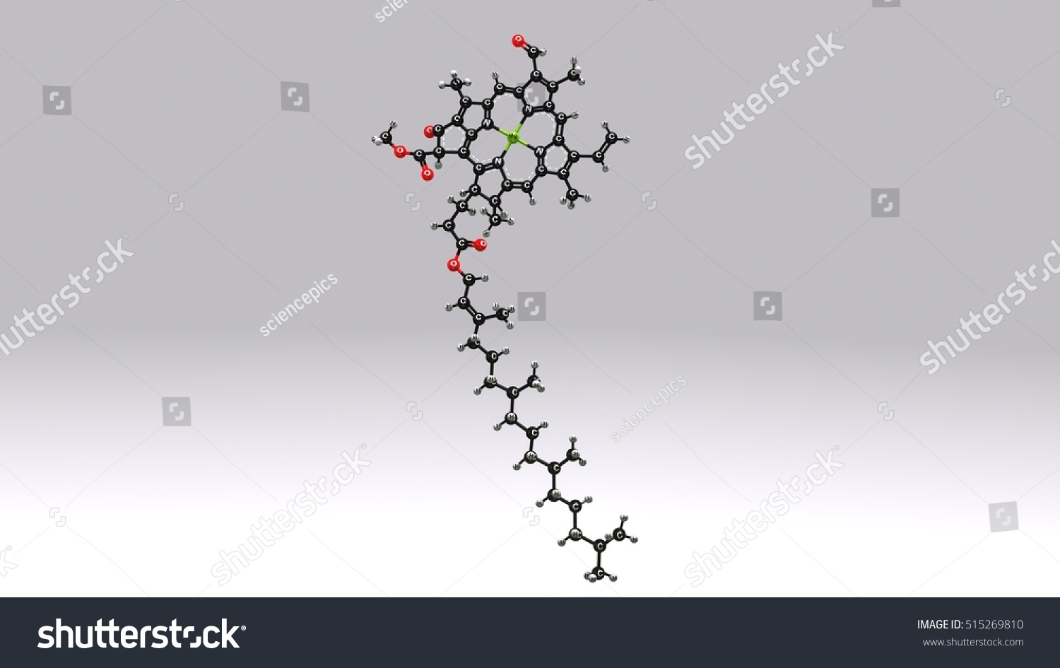 Chlorophyll B Structure 3d Illustration Stock Illustration 515269810 ...