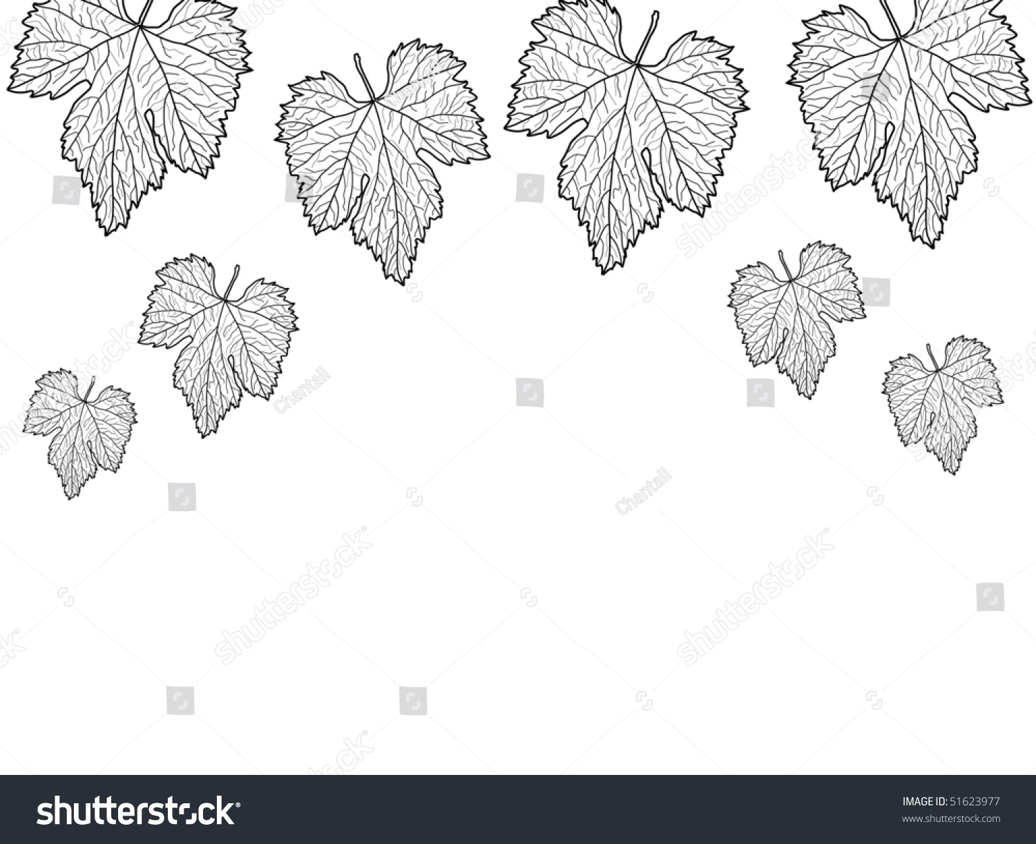 Виноградные листок для печати