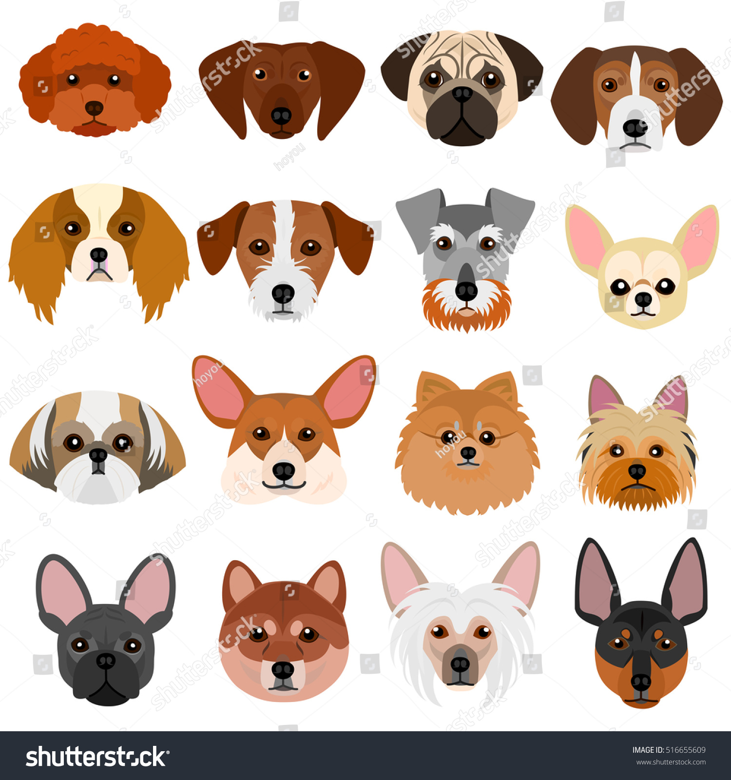 Small Dog Faces Set On White Stock Vector (Royalty Free) 516655609 ...