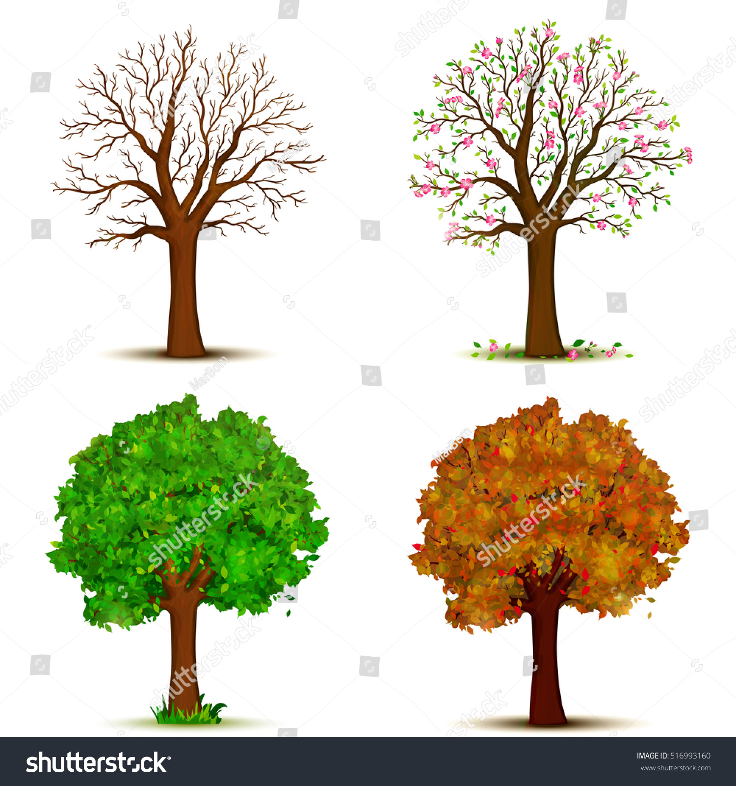 Four Seasons Trees Vector Stock Vector (Royalty Free) 516993160 ...