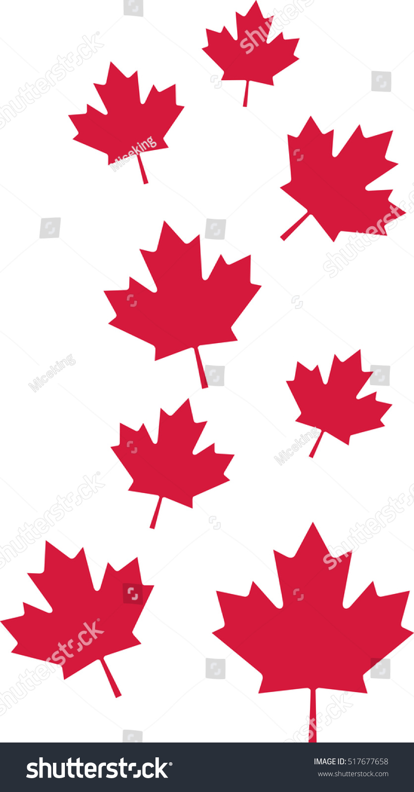 Canada Maple Leaf White Red Leaves Stock Photo 1589553025 