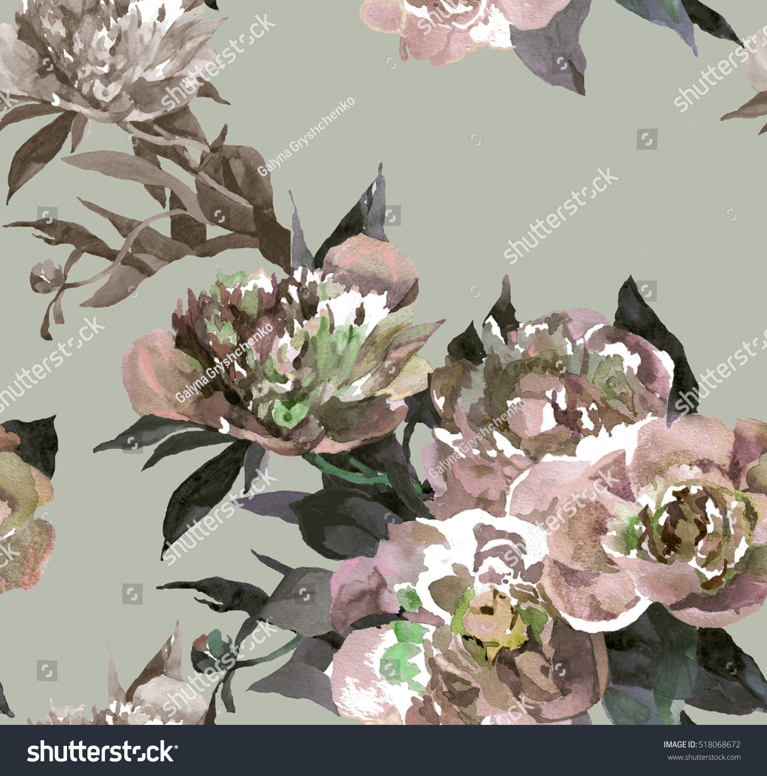 Pink Peonies Pattern Watercolor On Stock Illustration