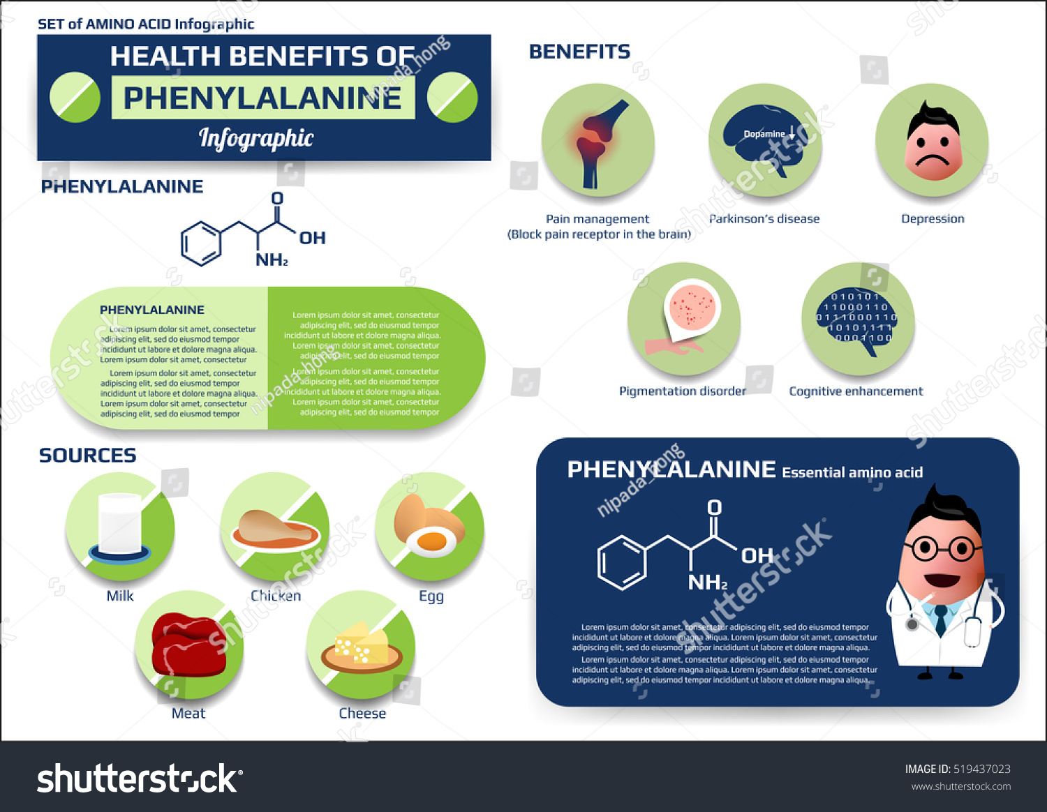 Set Health Benefits Phenylalanine Essential Amino Stock Vector (Royalty ...