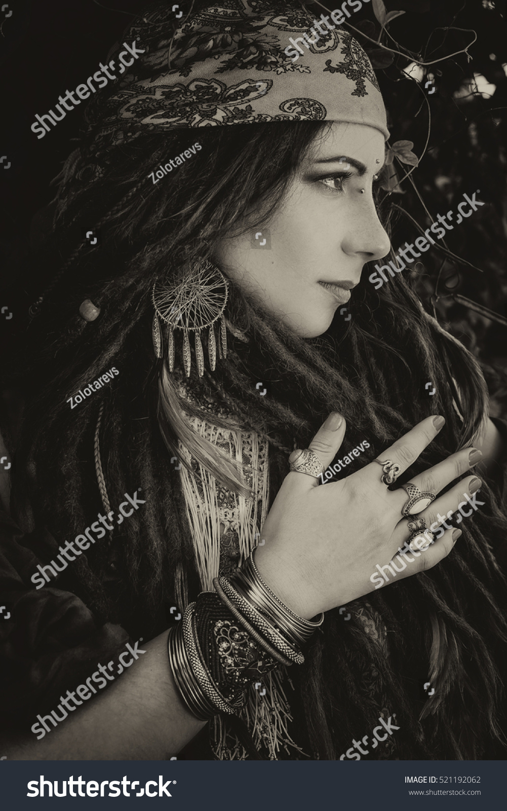 11,614 Gypsy Vintage Stock Photos, Images & Photography | Shutterstock