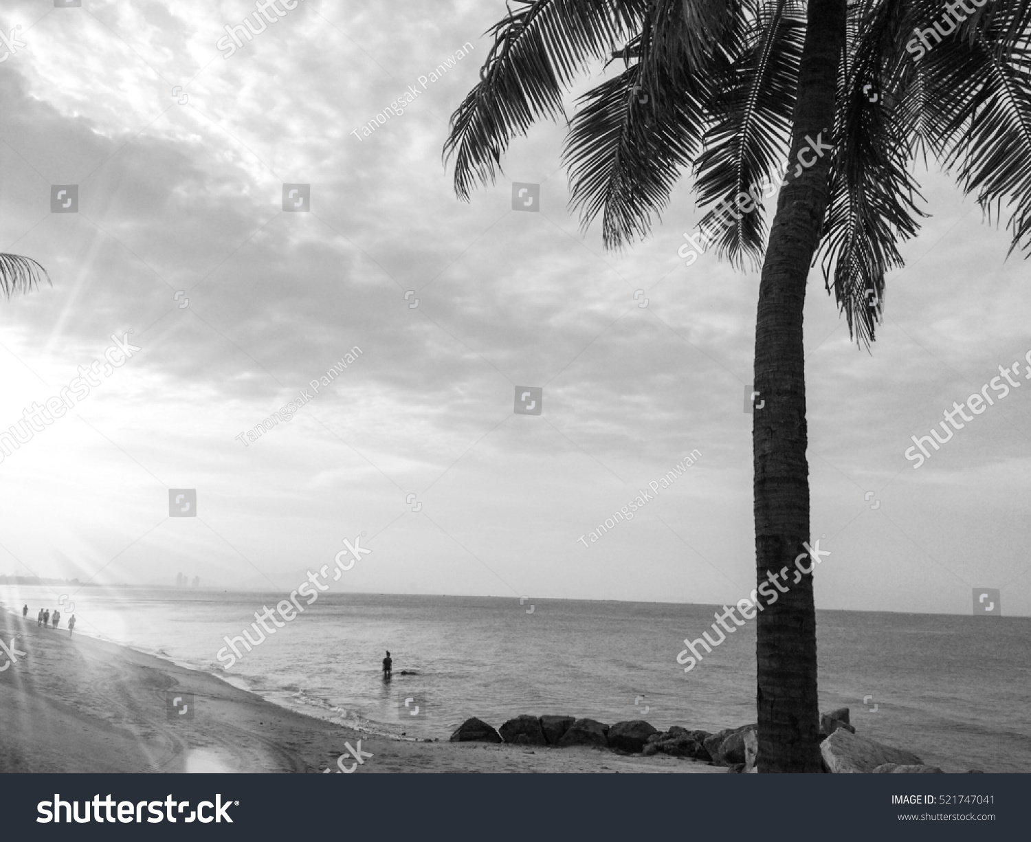 Beach Black White Focuslandscape Stock Photo 521747041 | Shutterstock