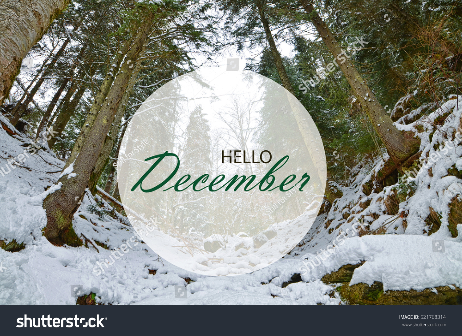 Hello December Wallpaper Winter Background Stock Photo 521768314 ...