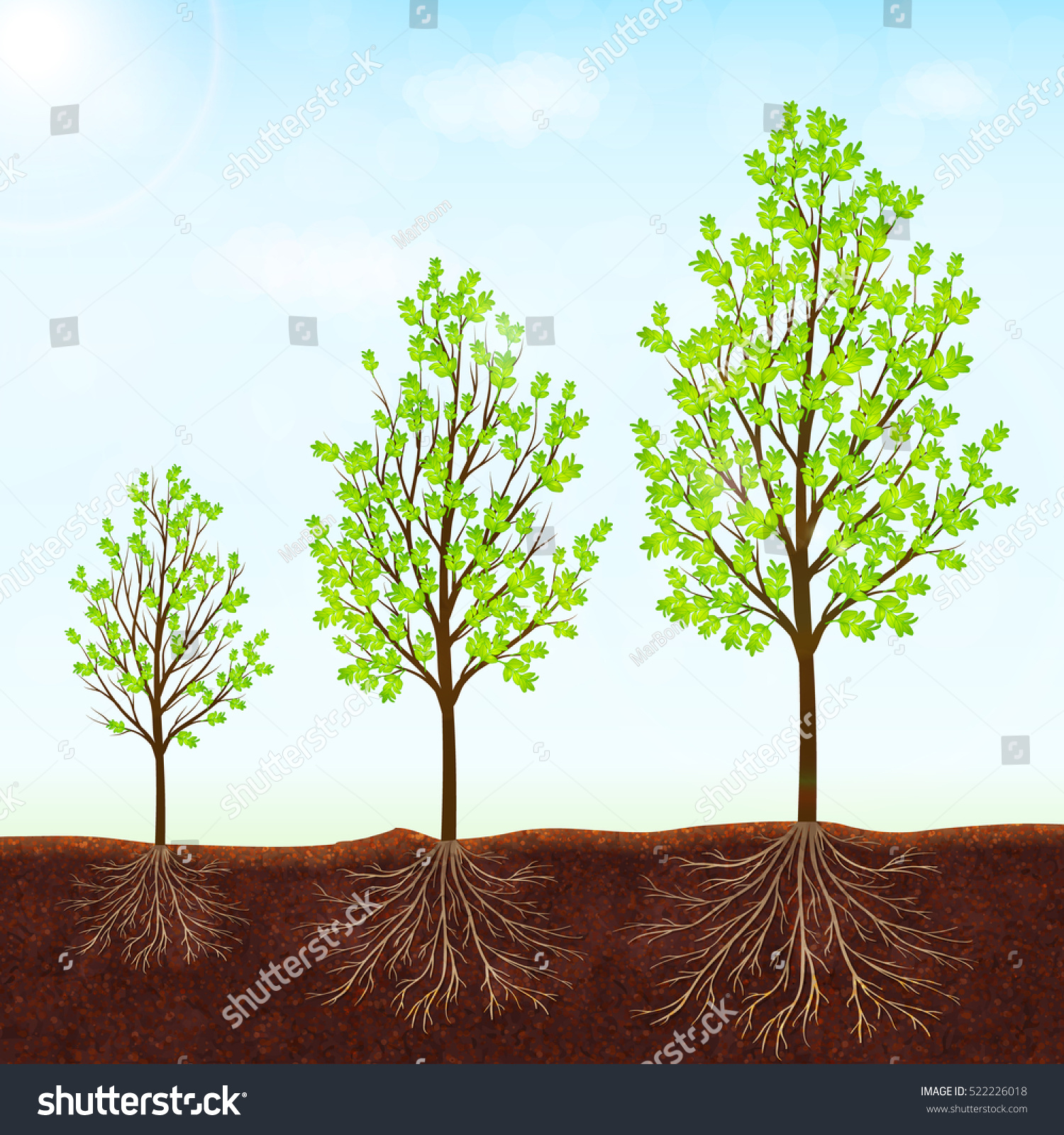 Growth Tree Vector Background Stock Vector (Royalty Free) 522226018 ...