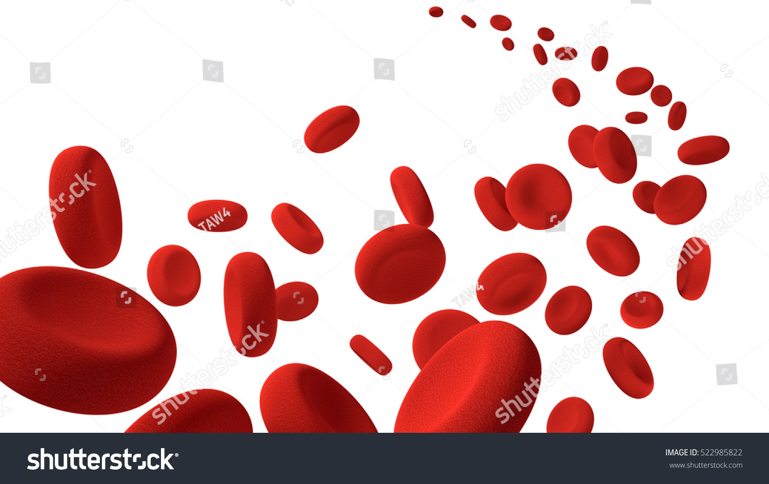 <b>Red</b> <b>Blood</b> <b>Cells</b> Flow Along On White Background, 3d Rendering And.