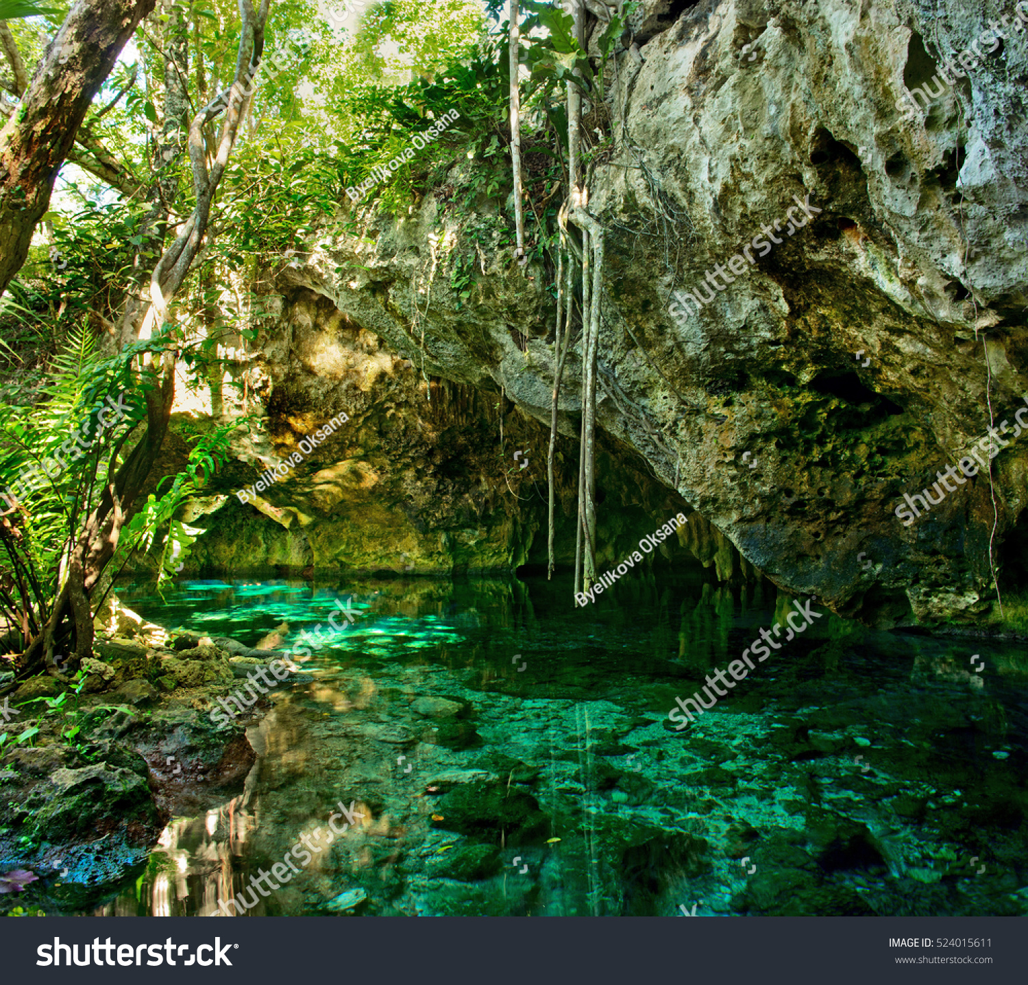 Grand Cenote This One Most Famous Stock Photo 524015611 | Shutterstock