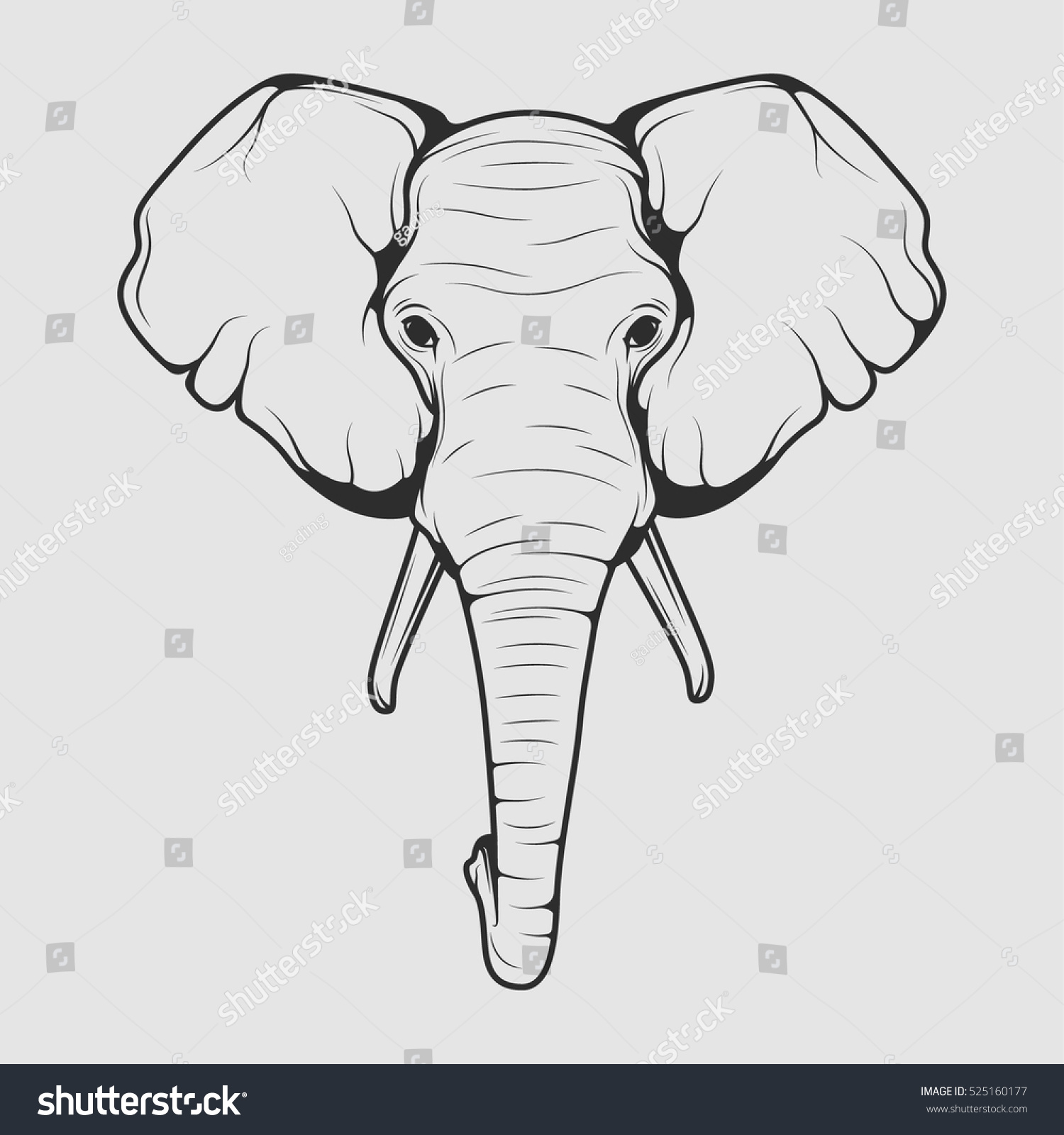 Эскиз слона в анфас