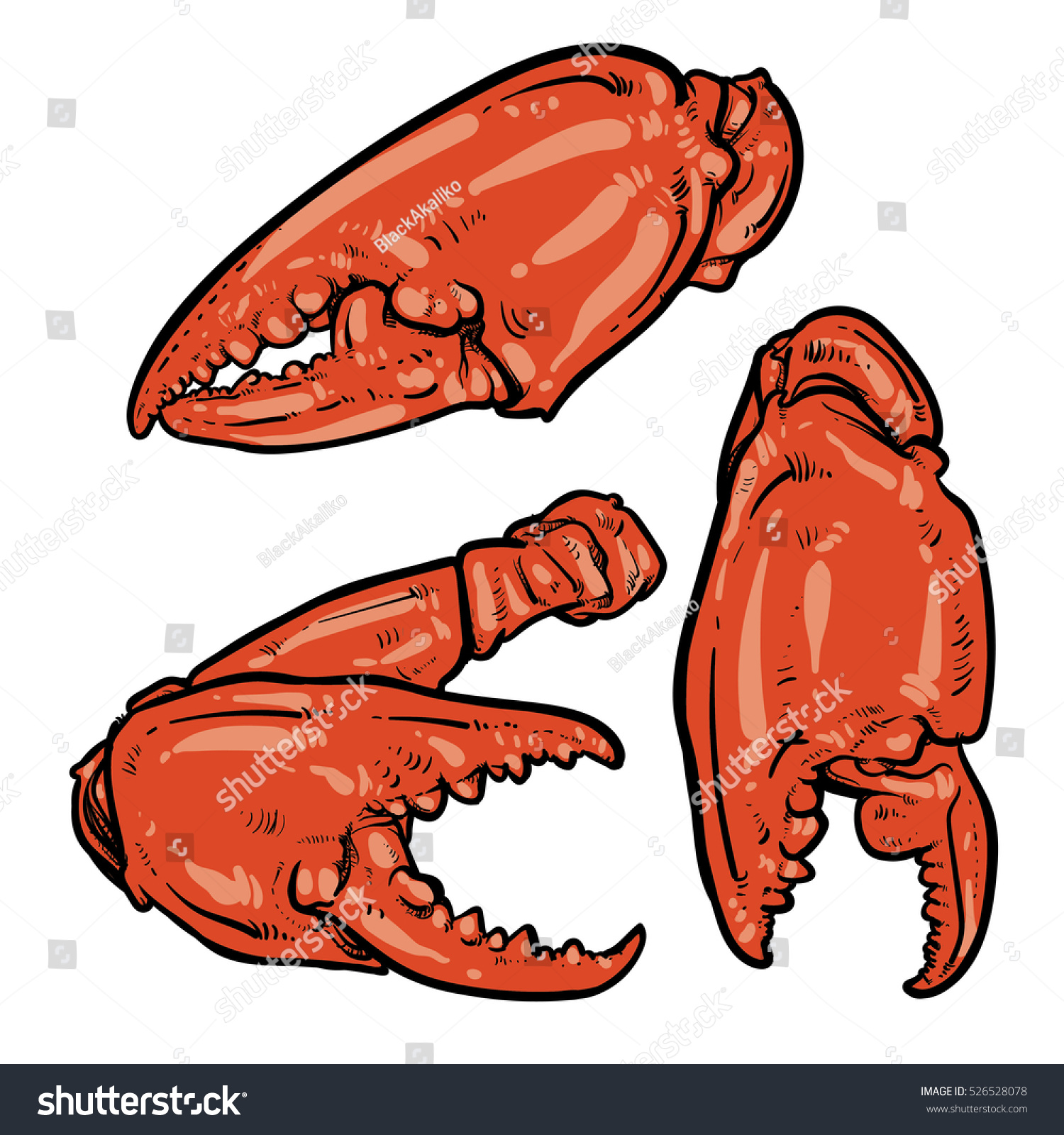 Hand Drawn Crab Vector Crab Claws Stock Vector (Royalty Free) 526528078