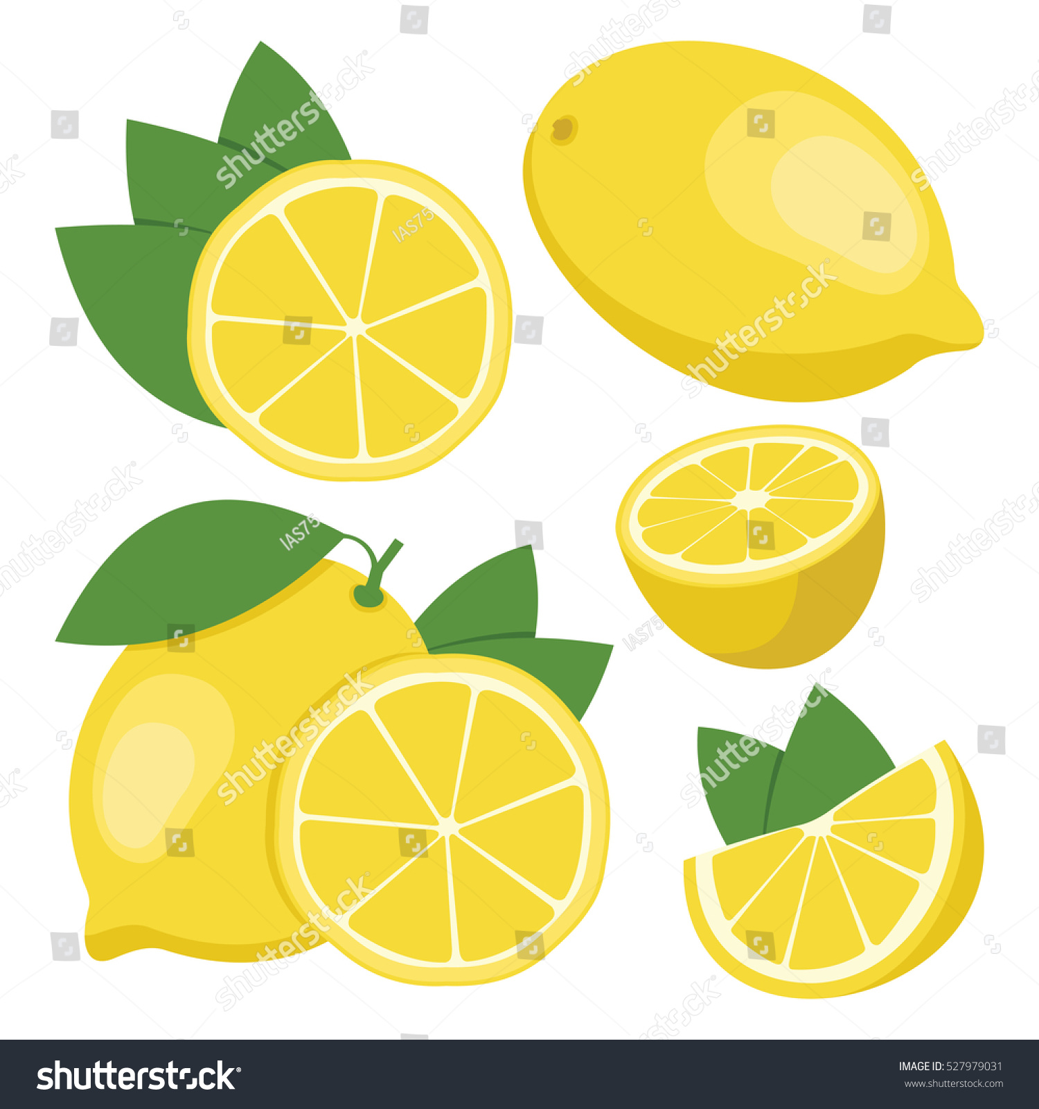 Lemon Collection Whole Sliced Lemon Fruits Stock Vector Royalty Free 527979031 Shutterstock 2295