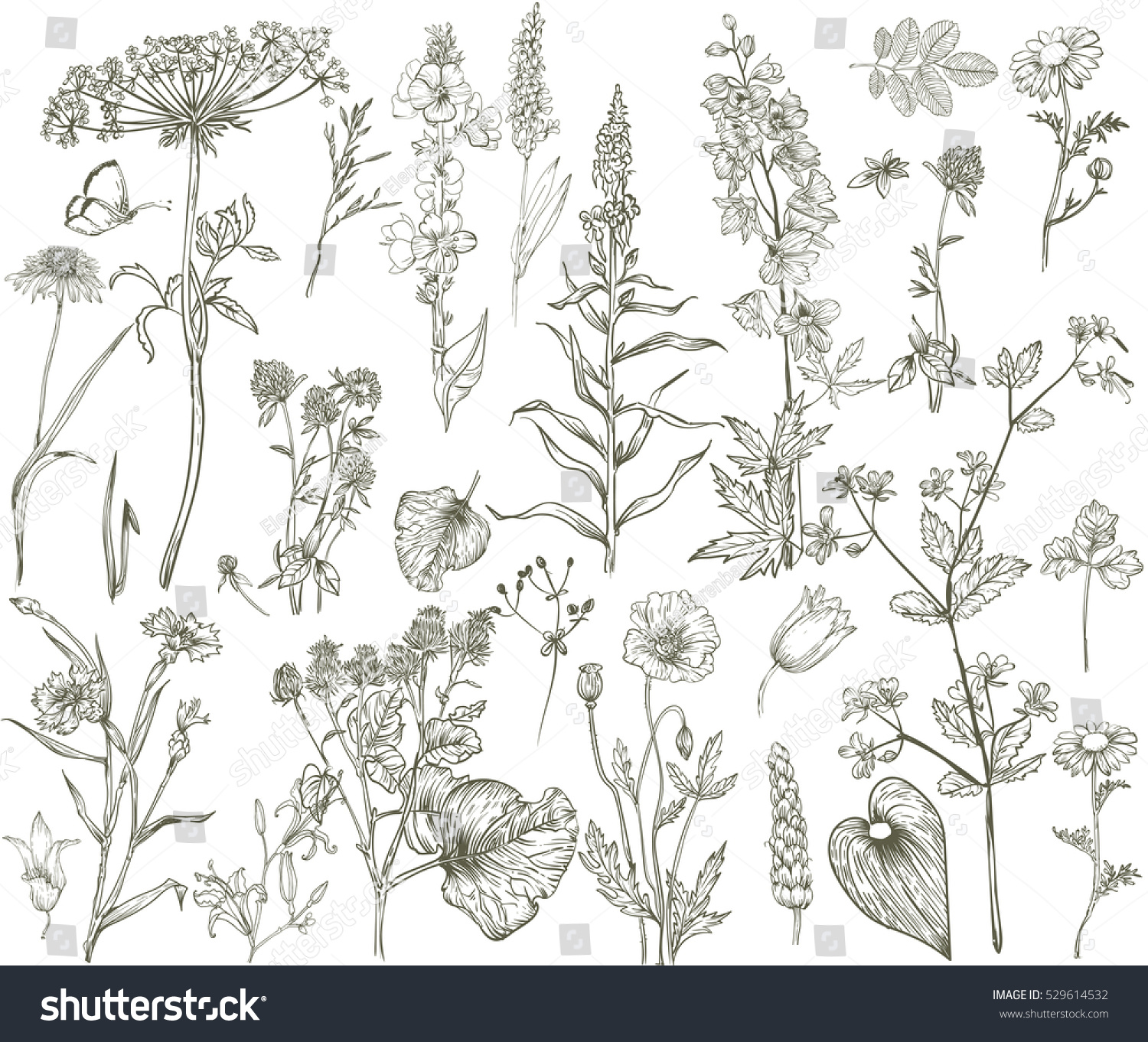 Vector Wild Floral Collection Stock Vector (Royalty Free) 529614532 ...