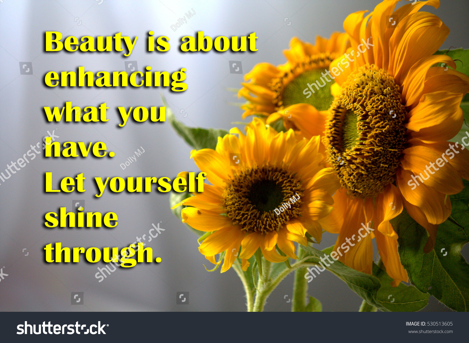 Motivation Wording About Beauty Sunflower Backgroundinspirational Stock ...