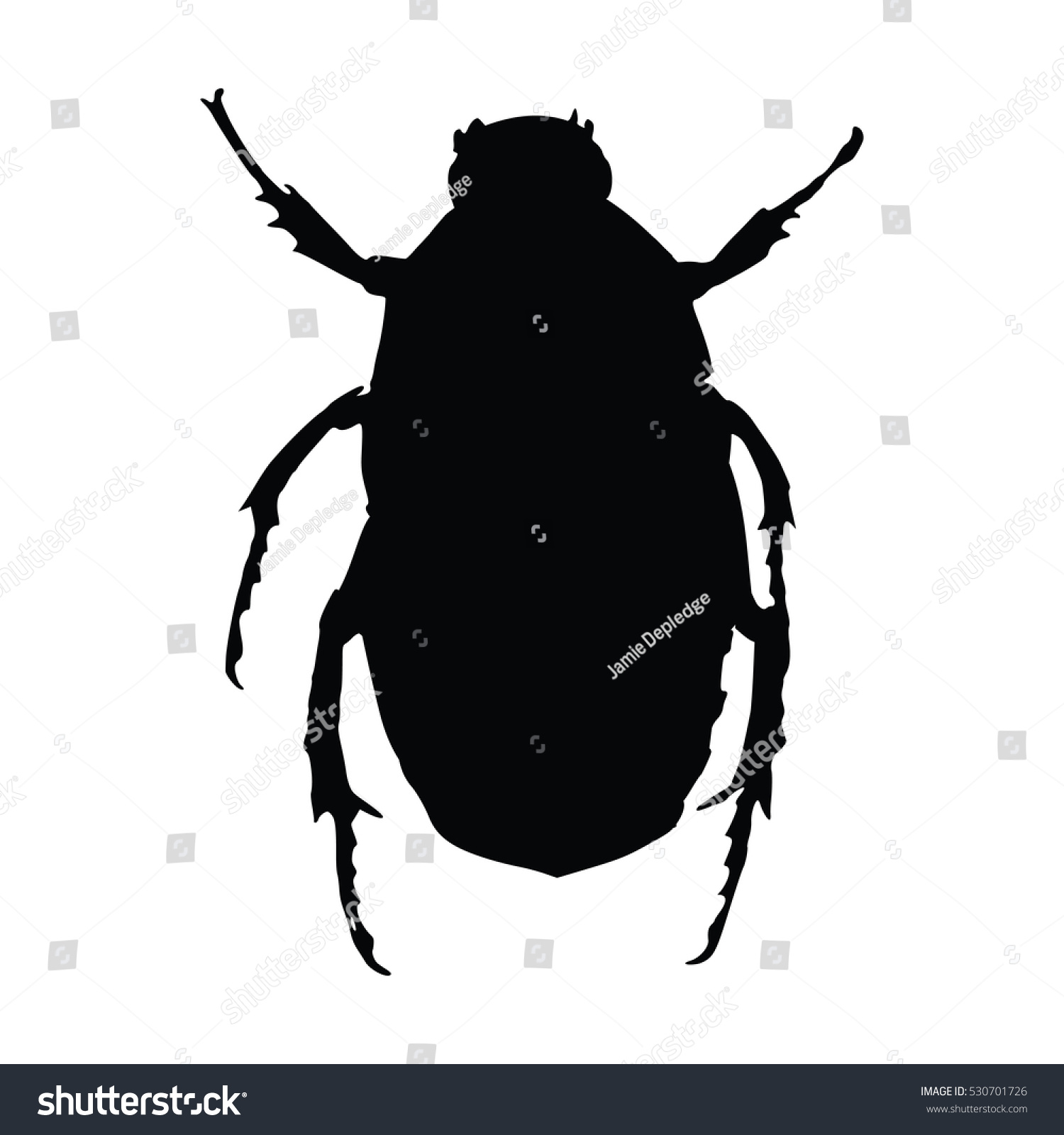 Black White Silhouette Beetle Stock Vector (royalty Free) 530701726 