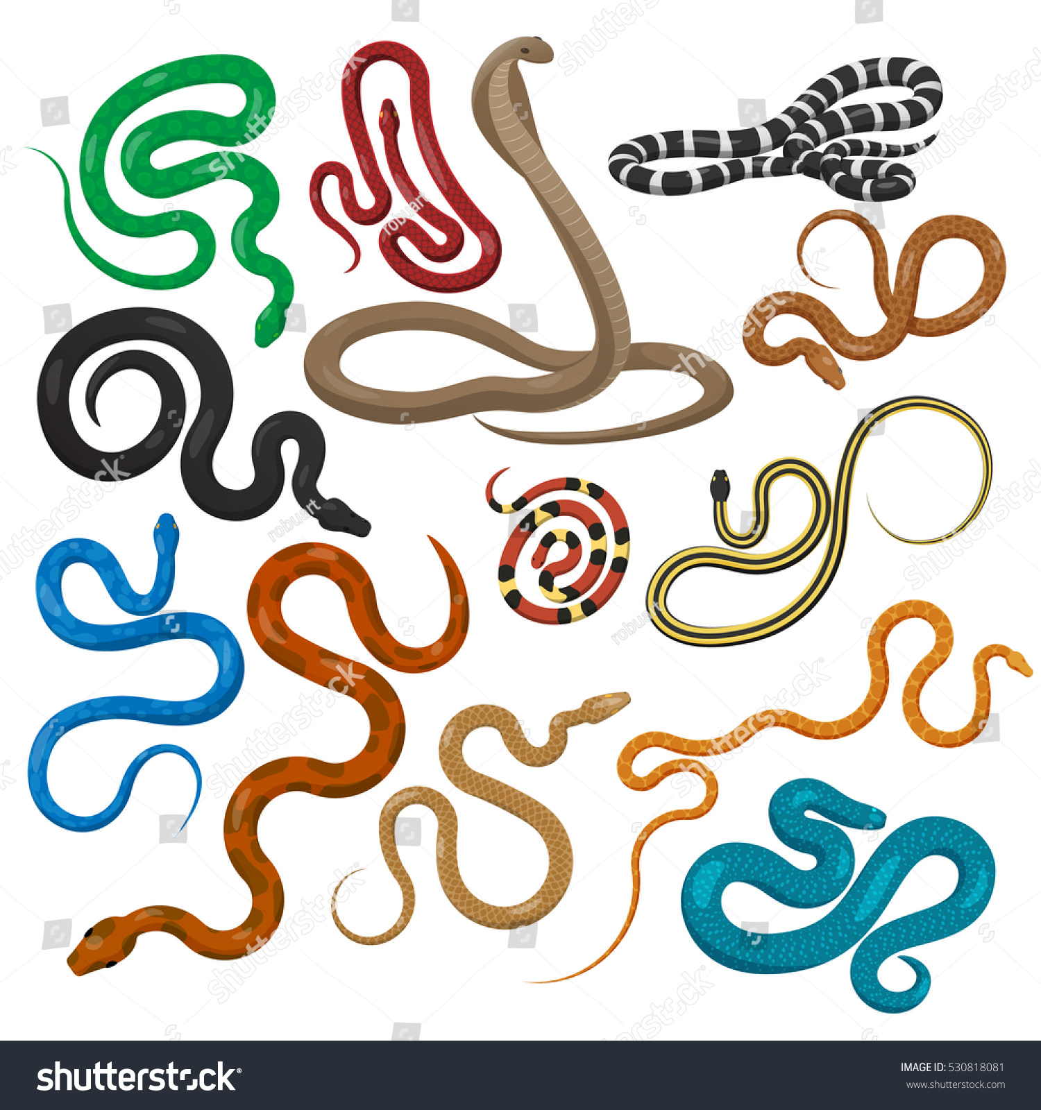 Snake Set Isolated On White Snakes Stock Vector (Royalty Free ...