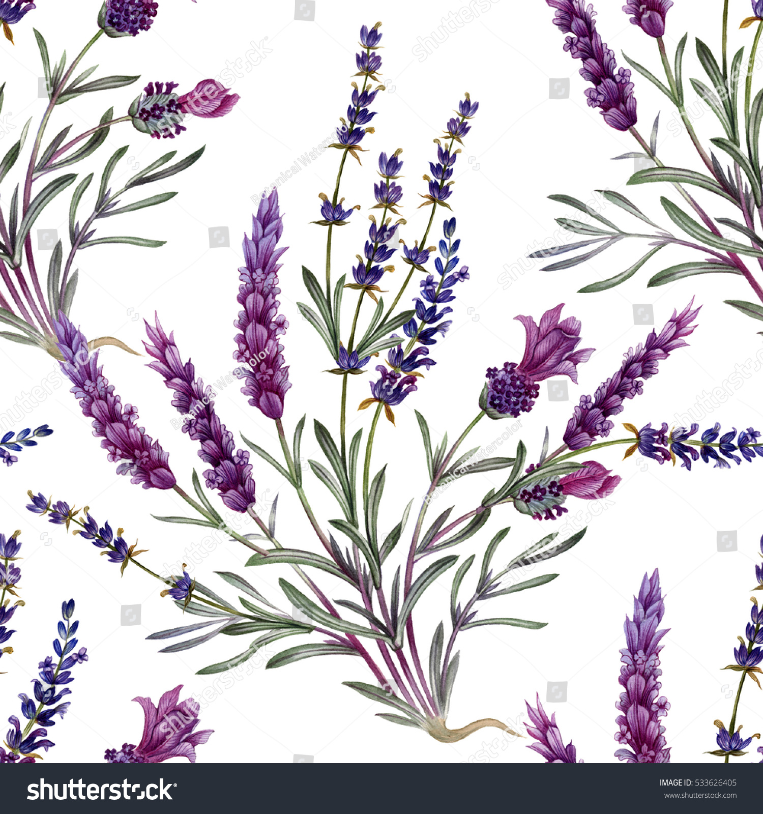 Lavender Seamless Pattern Flowers Your Design Stock Illustration ...