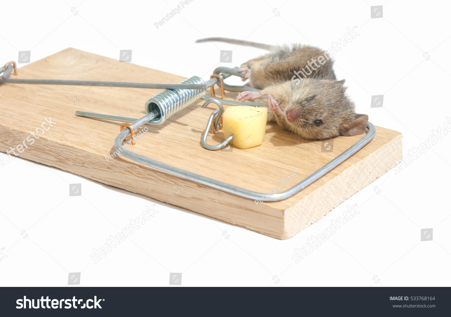 Капкан для мышей деревянный