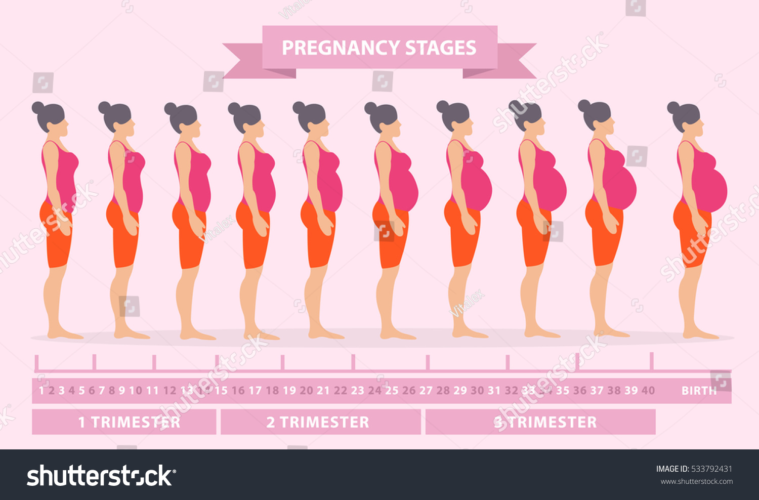 недели увеличивается грудь время беременности фото 15
