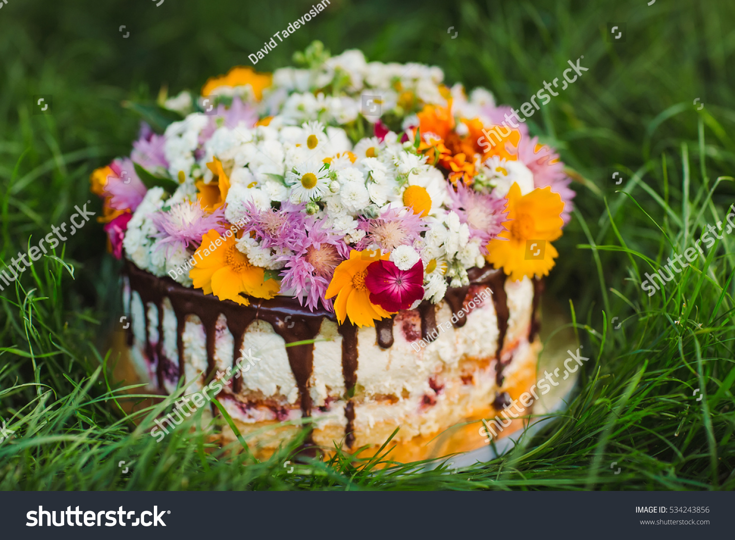 Naked Cake Decorated Flowers On Grass Stock Photo Shutterstock