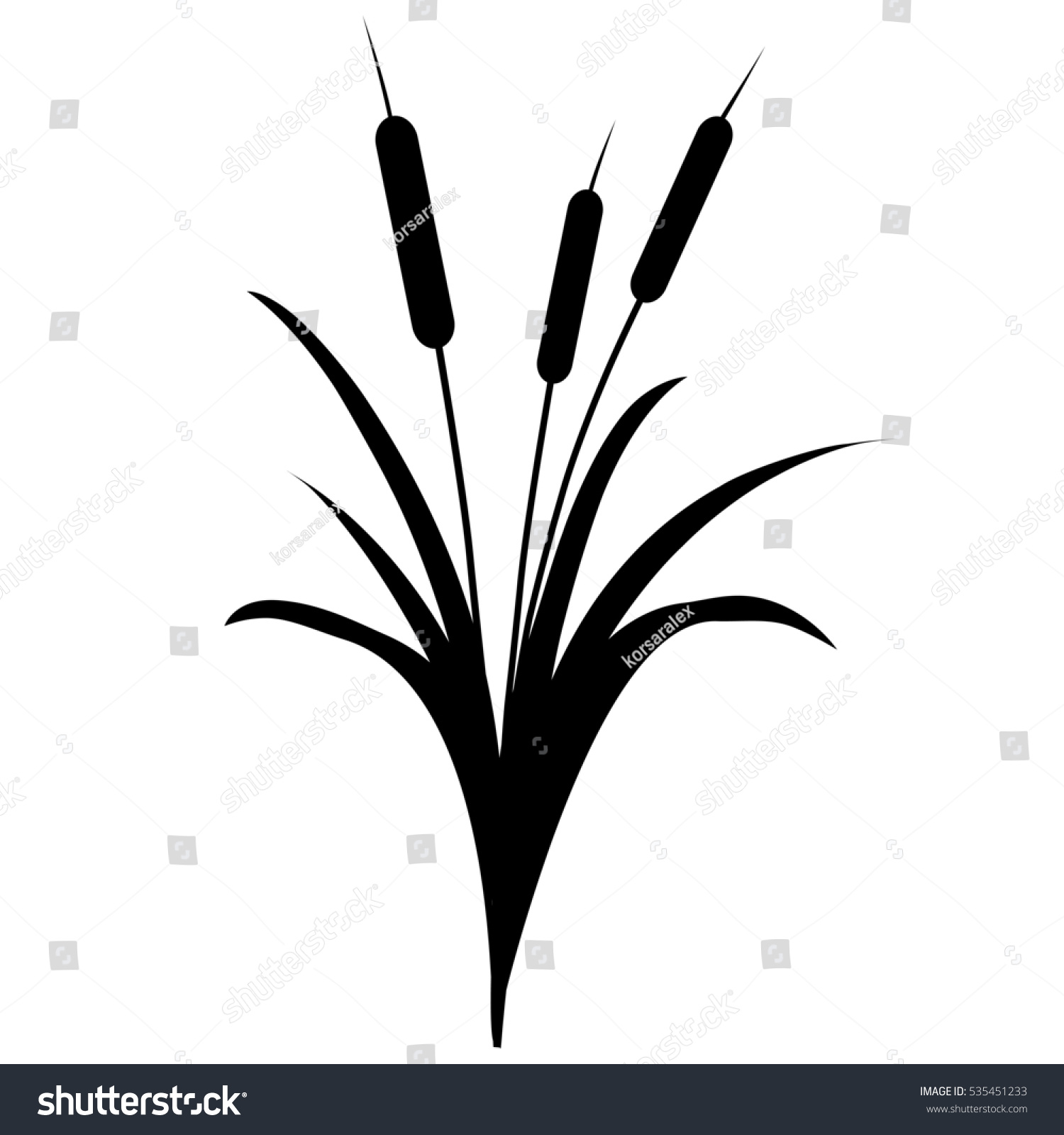 Reed Black White Isolated On White Stock Illustration 535451233 ...