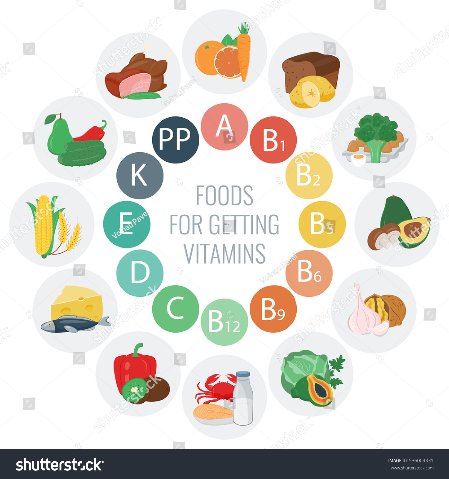 Vitamin Food Sources Colorful Wheel Chart Stock Vector (Royalty Free ...