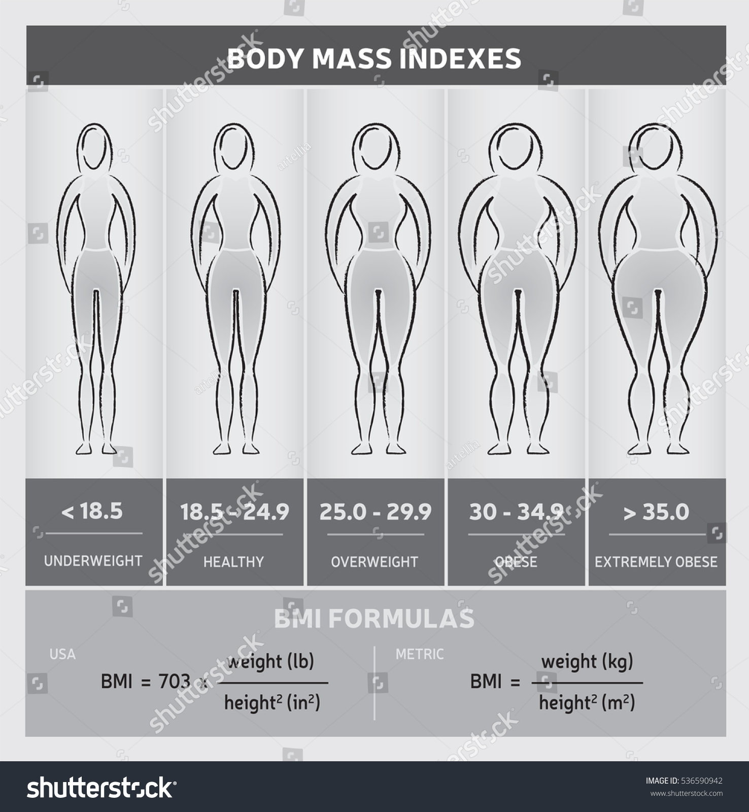 Body Mass Index Diagram Graphical Chart: стоковые изображения в HD и миллио...