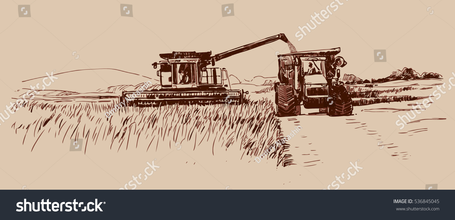 Трактор в пшеничном поле набросок