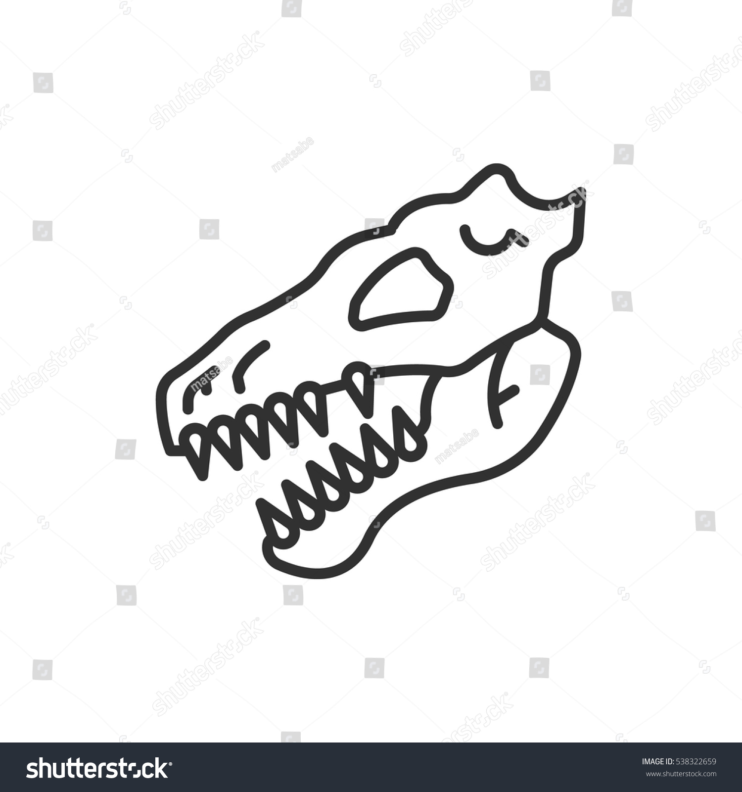 Зуб динозавра вектор