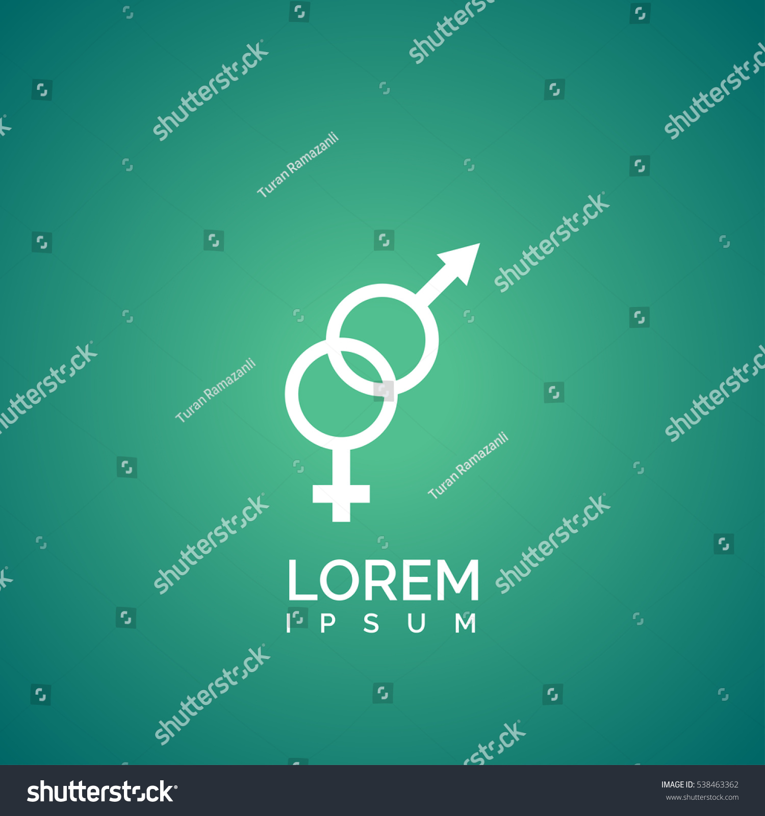 Male Female Sex Symbol Stock Vector Royalty Free 538463362 Shutterstock