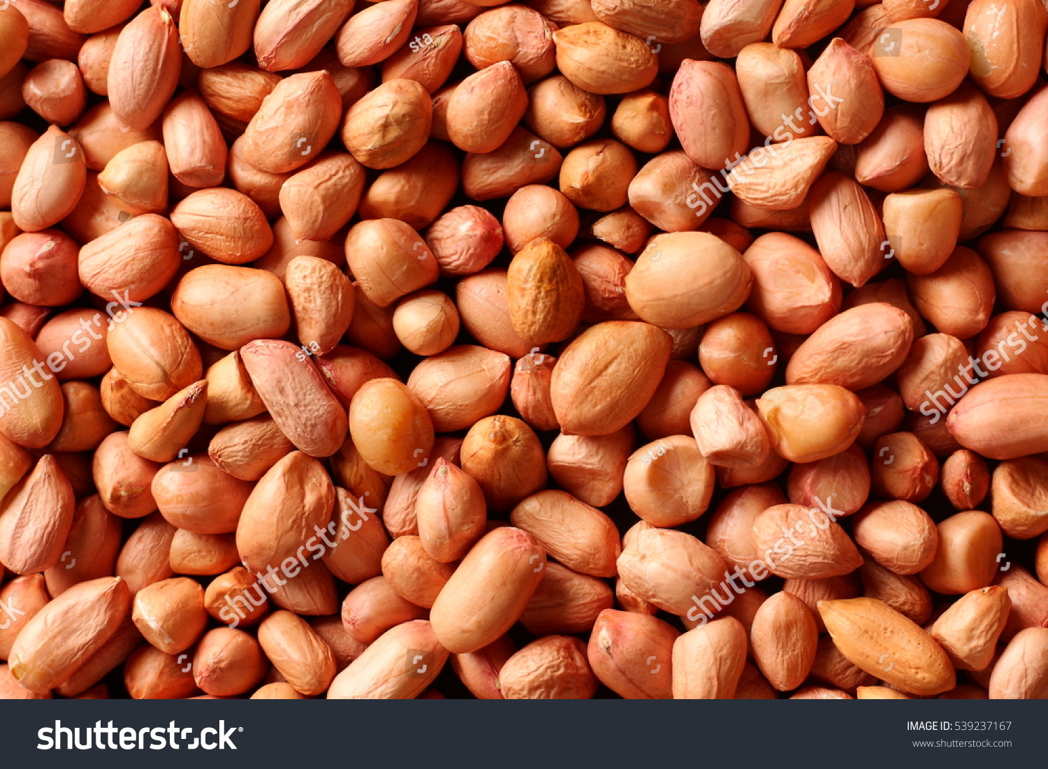 46,631 Ground Nuts Images, Stock Photos & Vectors | Shutterstock