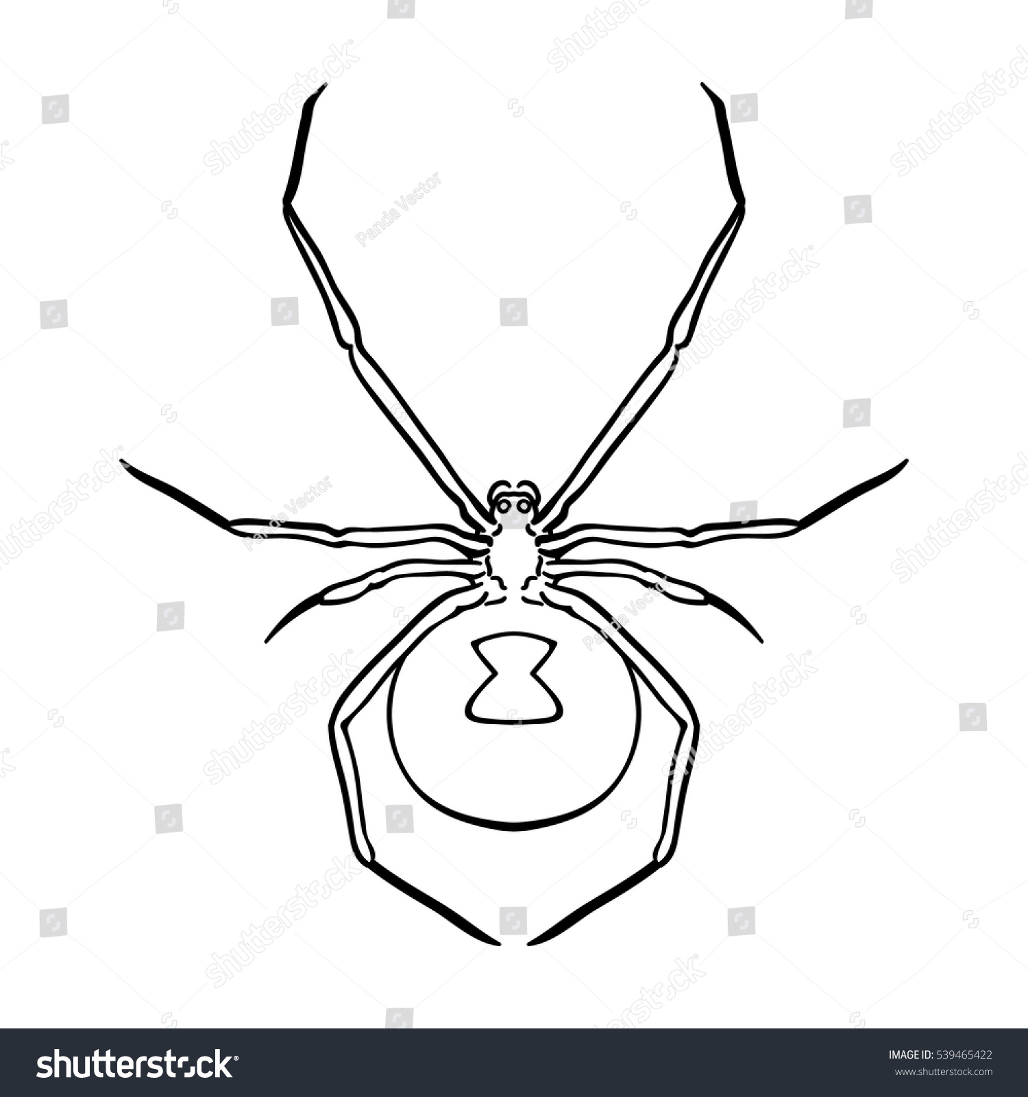 Раскраска ядовитого паука черная вдова