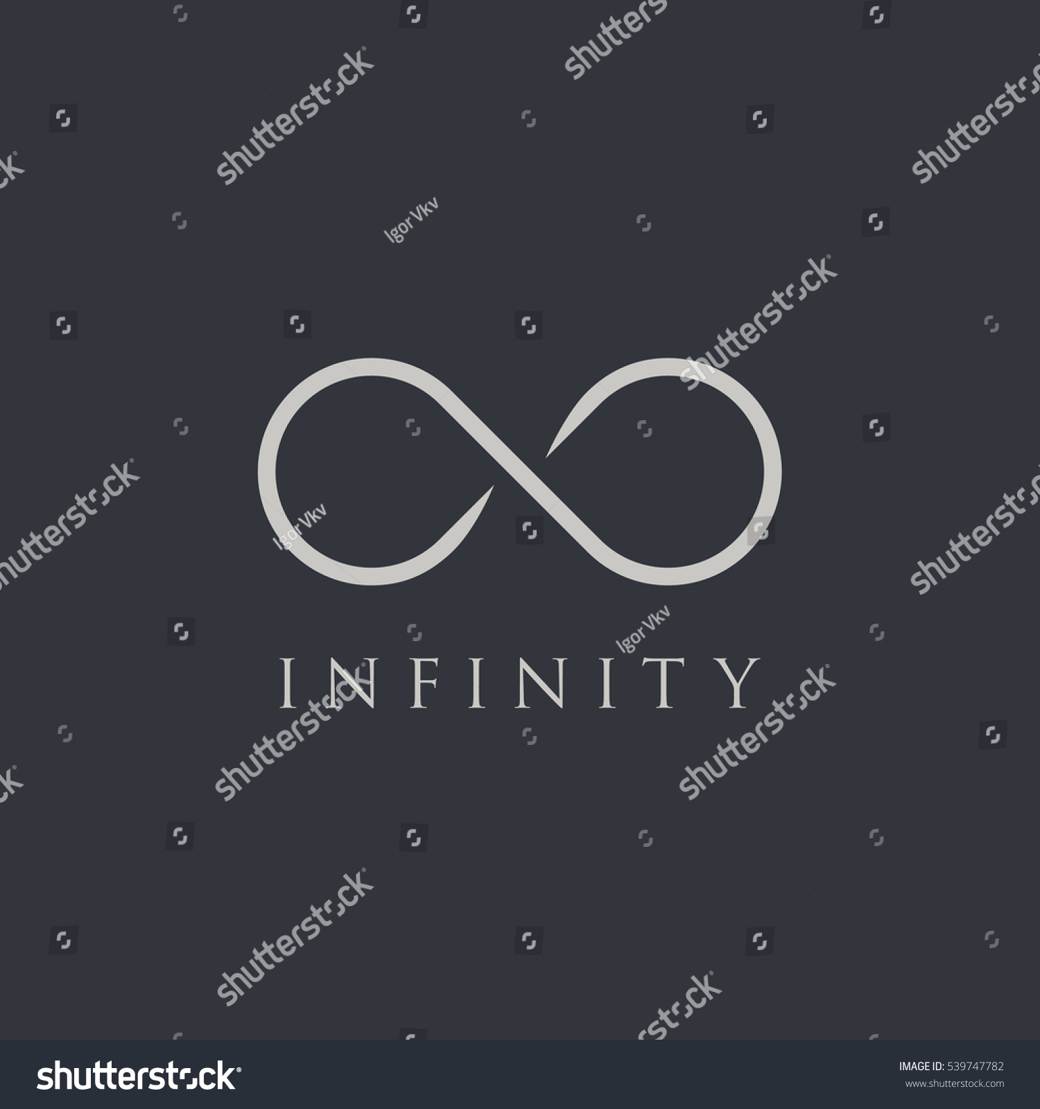 Infinity Symbol Logotype Stock Vector (Royalty Free) 539747782 ...