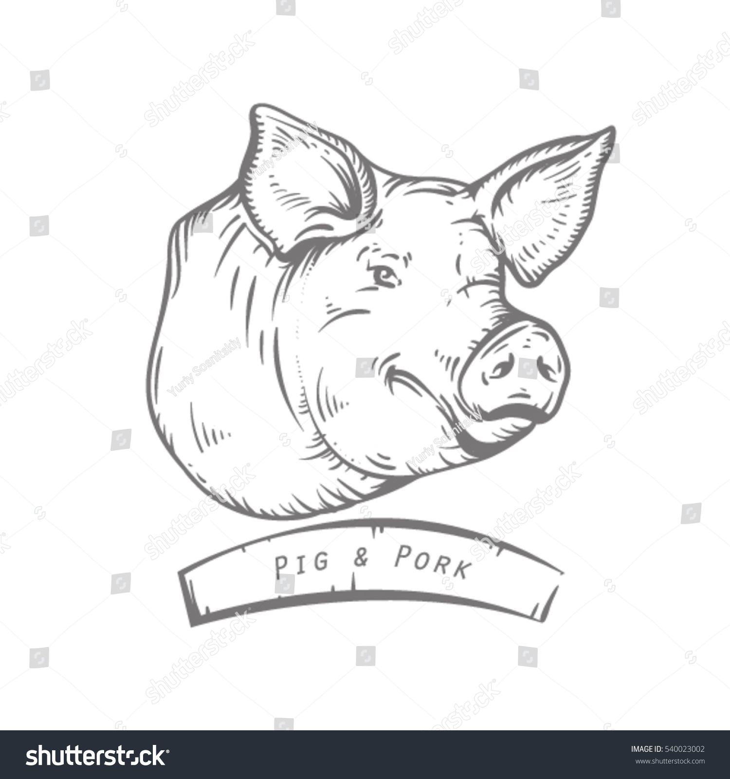 Эскиз злая свинья