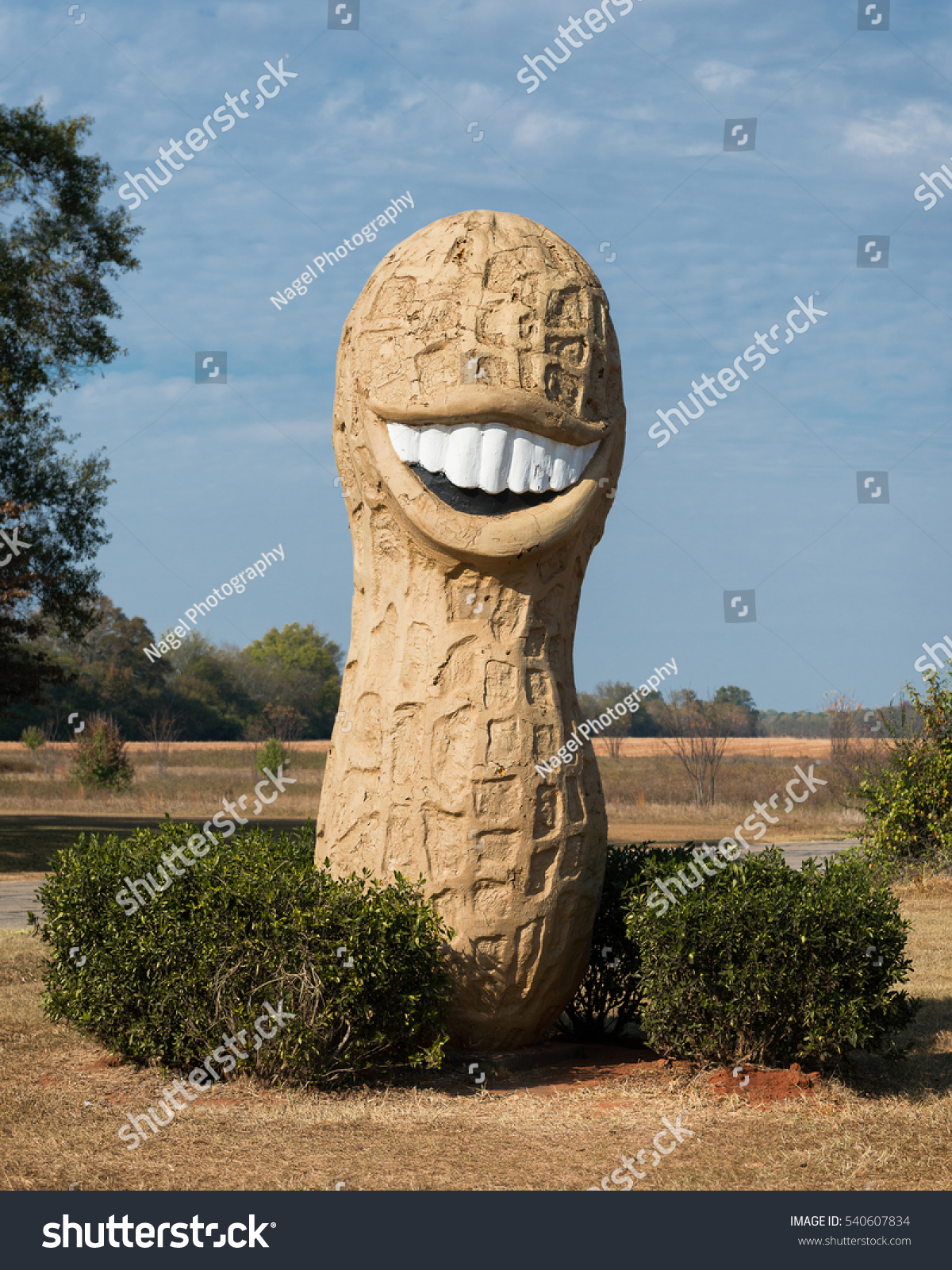 Plains Georgia November 12 Giant Peanut Stock Photo 540607834 ...