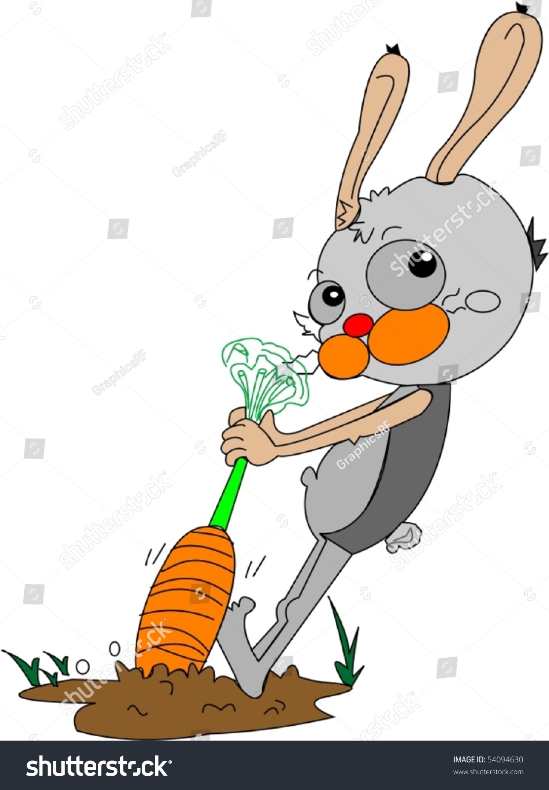Illustration Rabbit Pulling Carrot On White Stock Vector Royalty Free Shutterstock