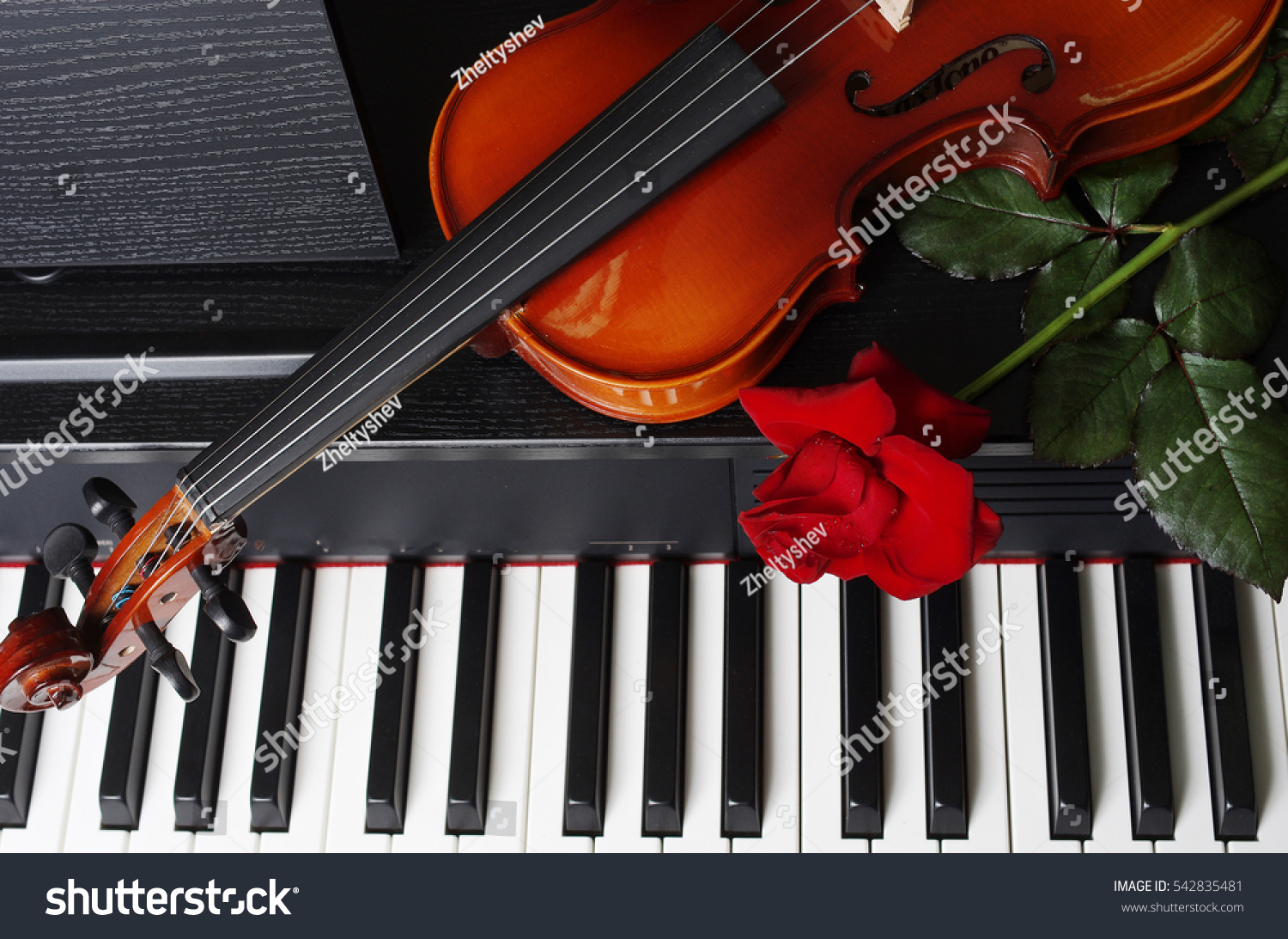 3,050 Rose And Violin Images, Stock Photos & Vectors | Shutterstock