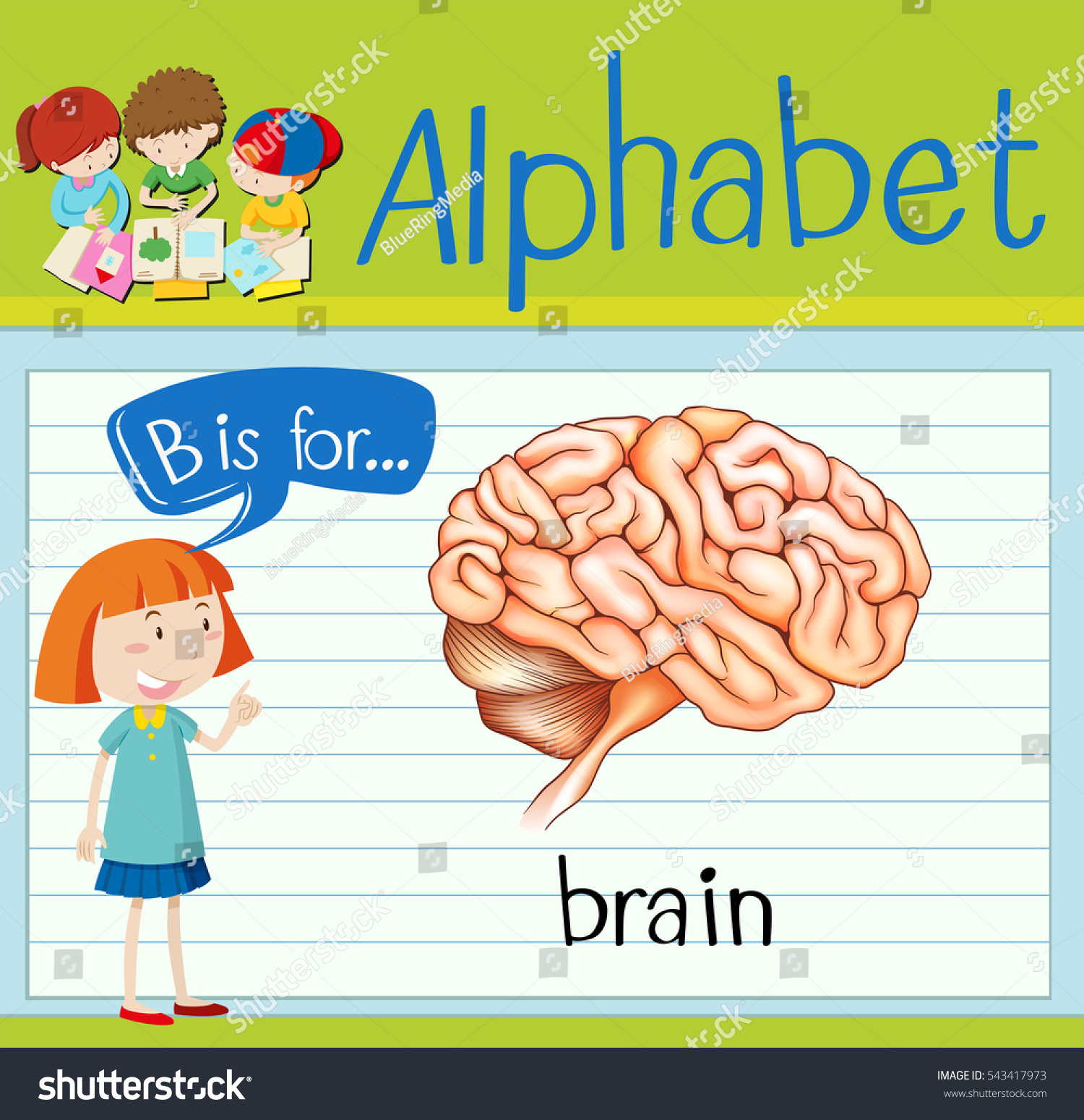 Flashcard Letter B Brain Illustration Stock Vector (Royalty Free ...