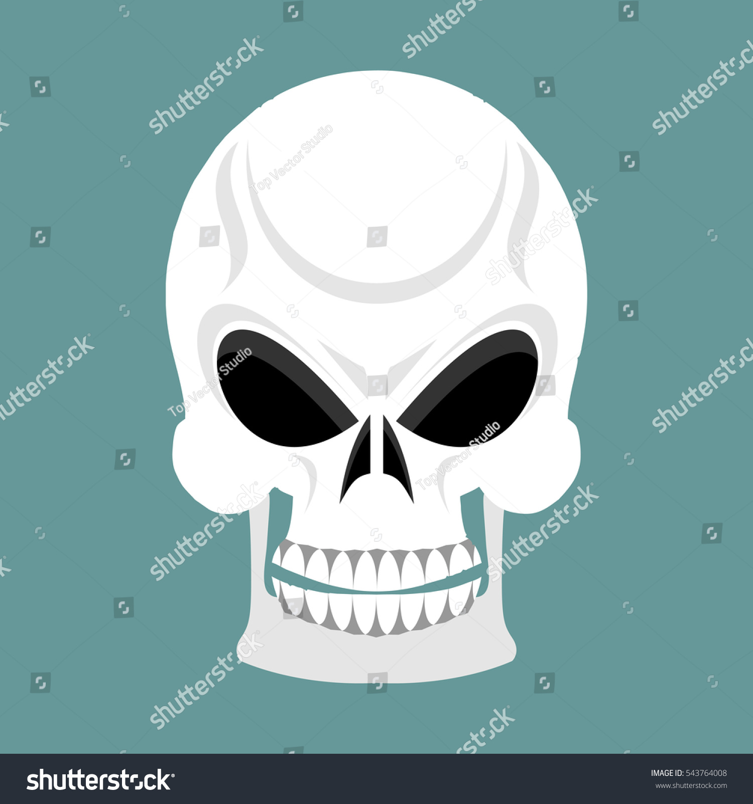 Skull Grin Skeleton Head Isolated Cranium Stock Illustration 543764008 ...