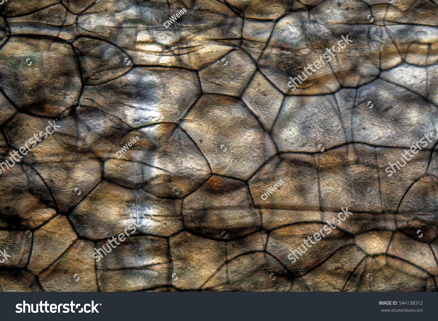 Nodules Polystyrene Under Microscope Polarized Light Stock Photo ...