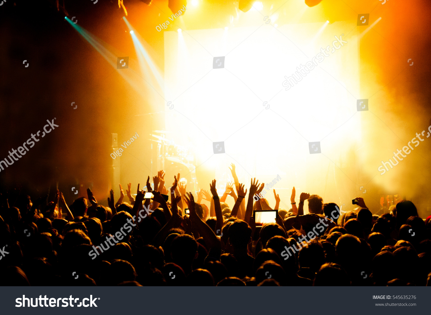 Fucking During Concert