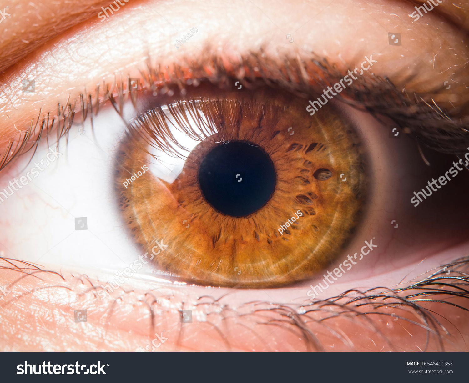 Замечайте Цвет Глаз Человека При Знакомстве