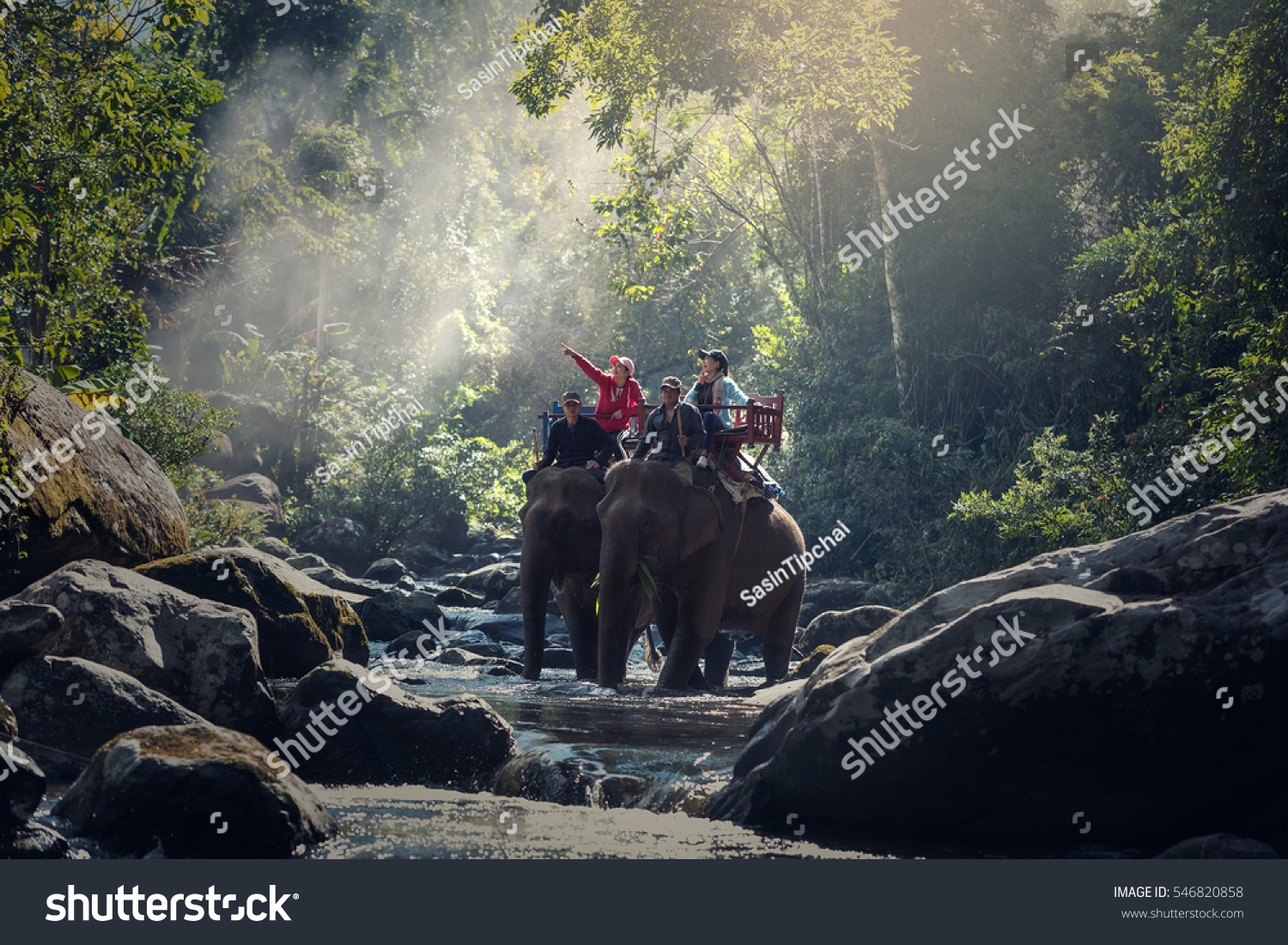 elephant jungle trek