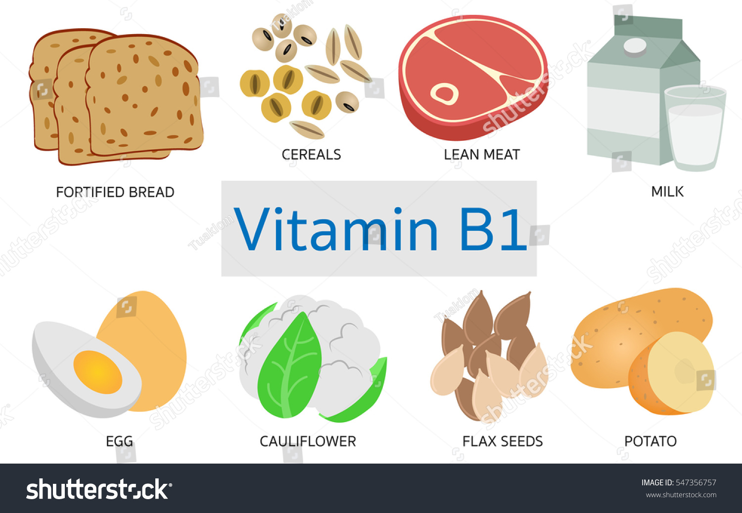 Food data. B1 Vitamin vector.